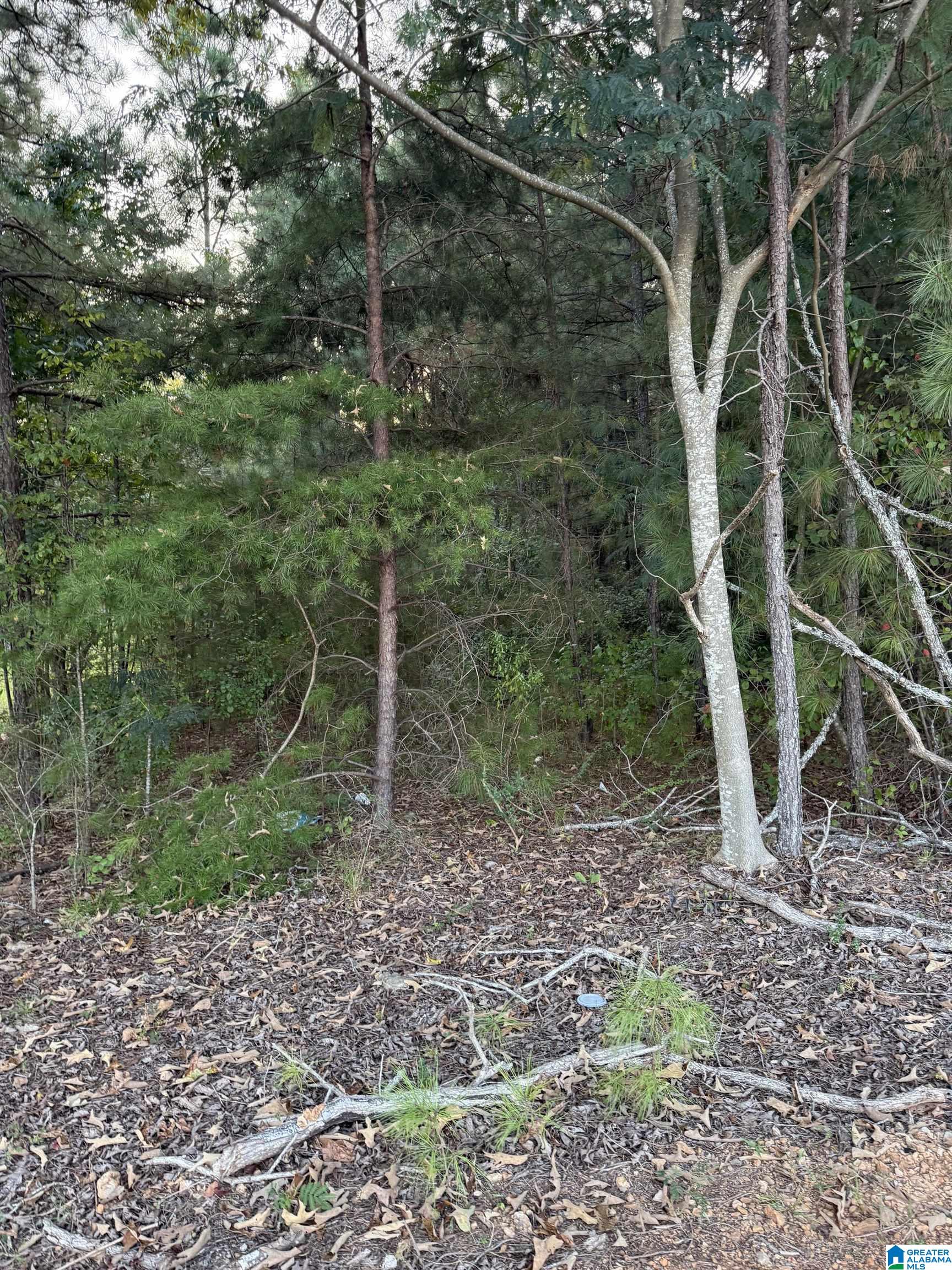 Photo 2 of Land for sale at 7195 Lou George Loop, Bessemer, AL 35022 | MLS# 21465399 | Listing updated on 2026-09-18