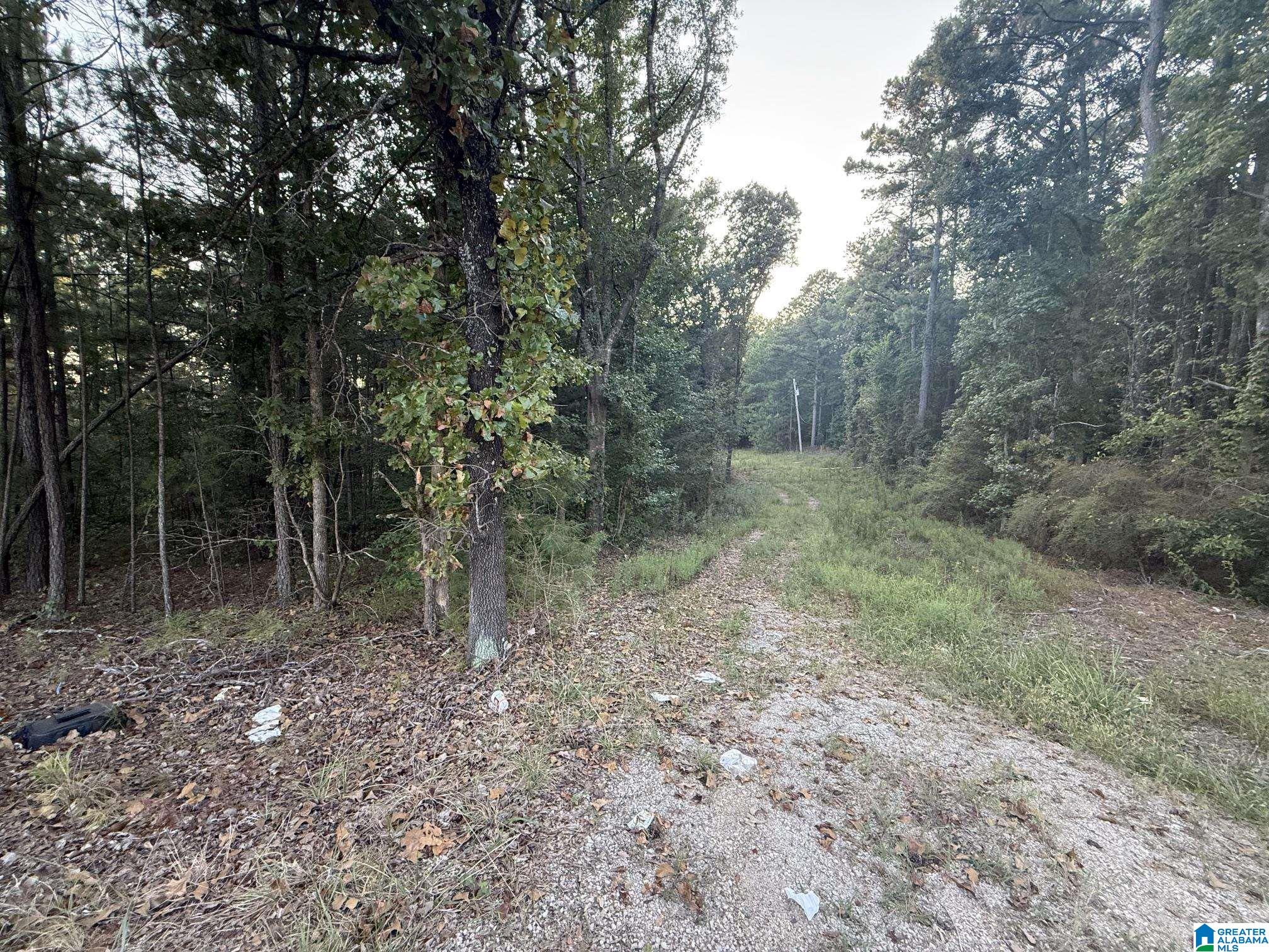 Photo 3 of Land for sale at 7195 Lou George Loop, Bessemer, AL 35022 | MLS# 21465399 | Listing updated on 2026-09-18