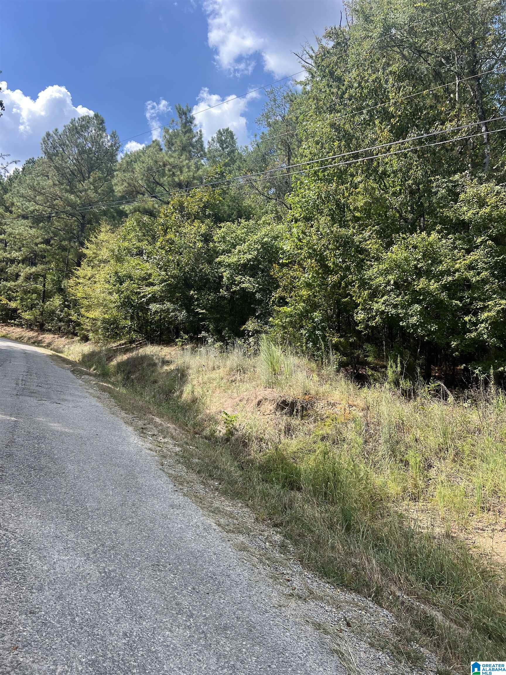 Land for sale at County Rd 8, CLANTON, AL 35046 | MLS# 21465410
