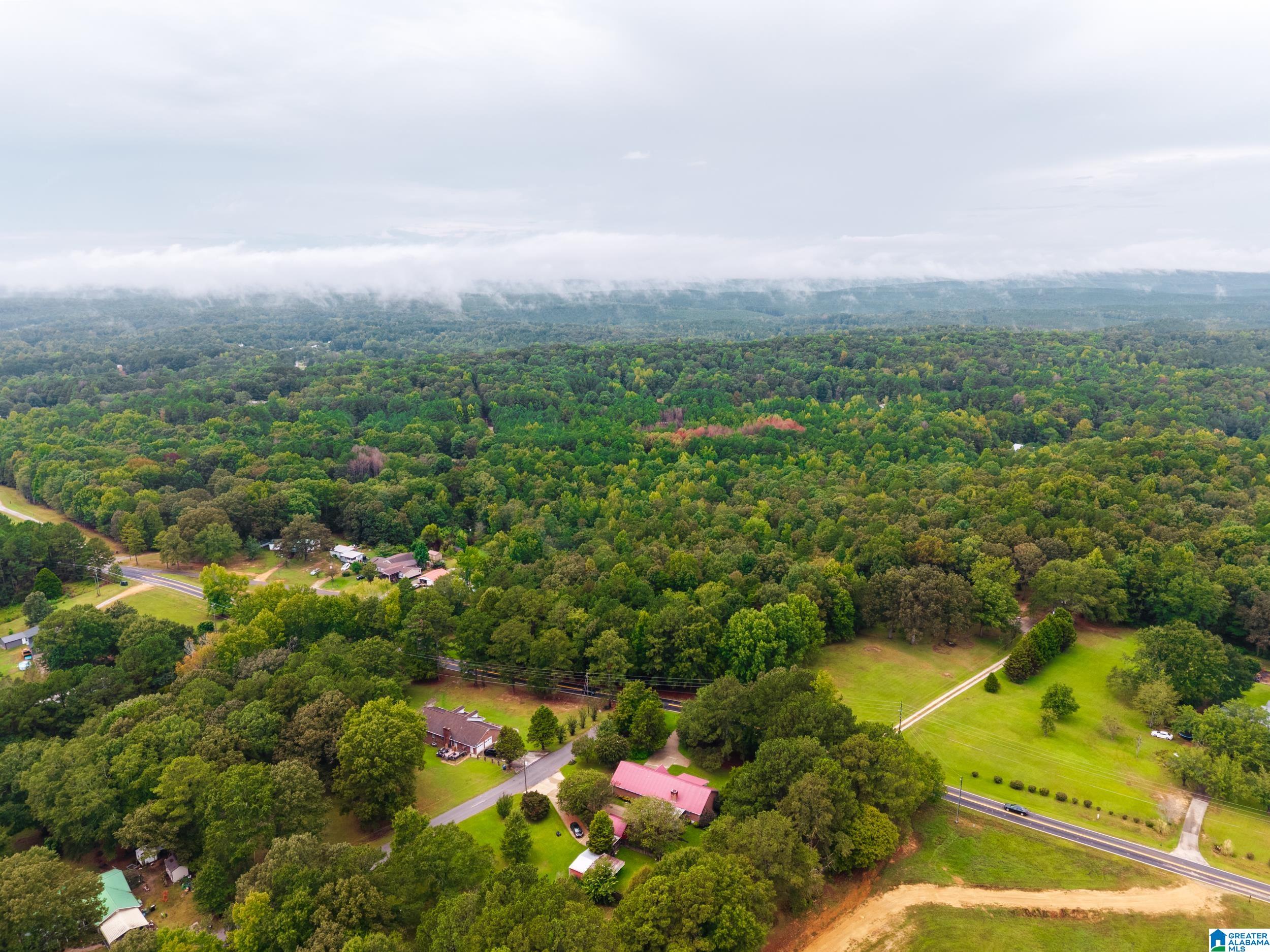 Photo 3 of Land for sale at 2727 Mount Moriah Rd, Pell City, AL 35125 | MLS# 21465445 | Listing updated on 2026-09-18