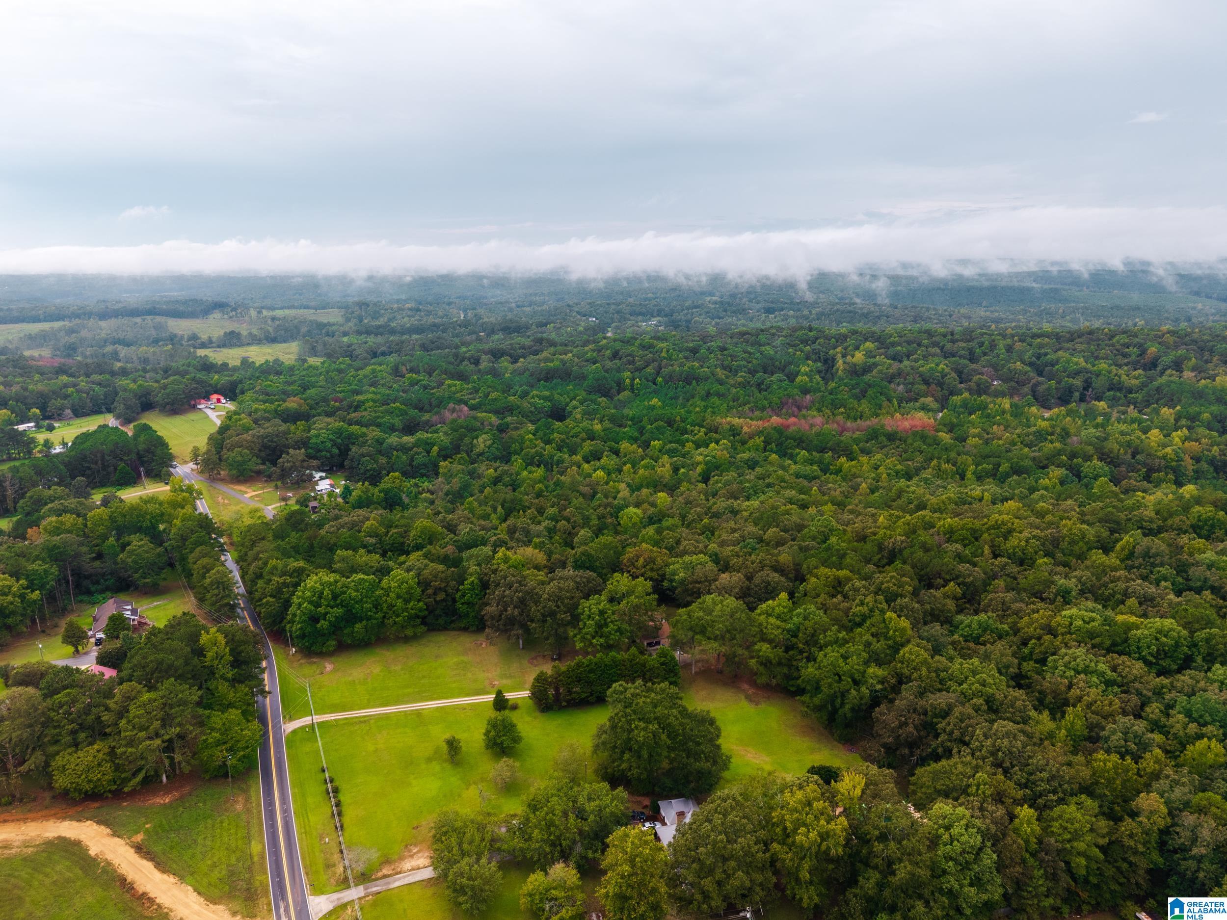 Photo 4 of Land for sale at 2727 Mount Moriah Rd, Pell City, AL 35125 | MLS# 21465445 | Listing updated on 2026-09-18