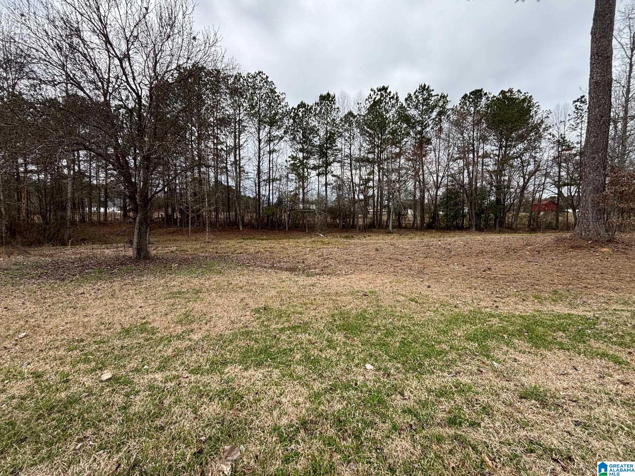 Photo 2 of Land for sale at Rolling Meadows Dr, Jasper, AL 35503 | MLS# 21465447 | Listing updated on 2026-09-18