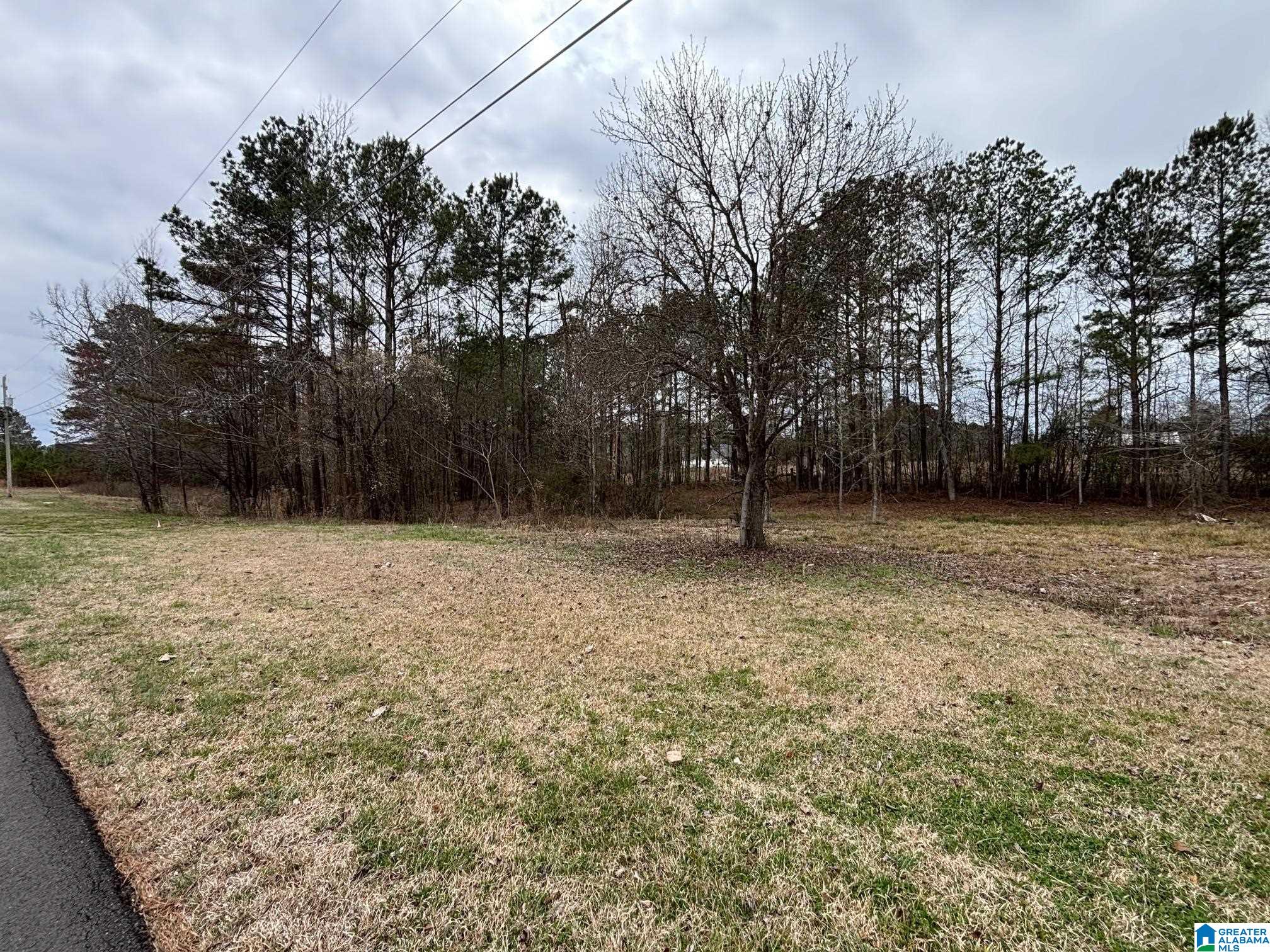 Photo 3 of Land for sale at Rolling Meadows Dr, Jasper, AL 35503 | MLS# 21465447 | Listing updated on 2026-09-18