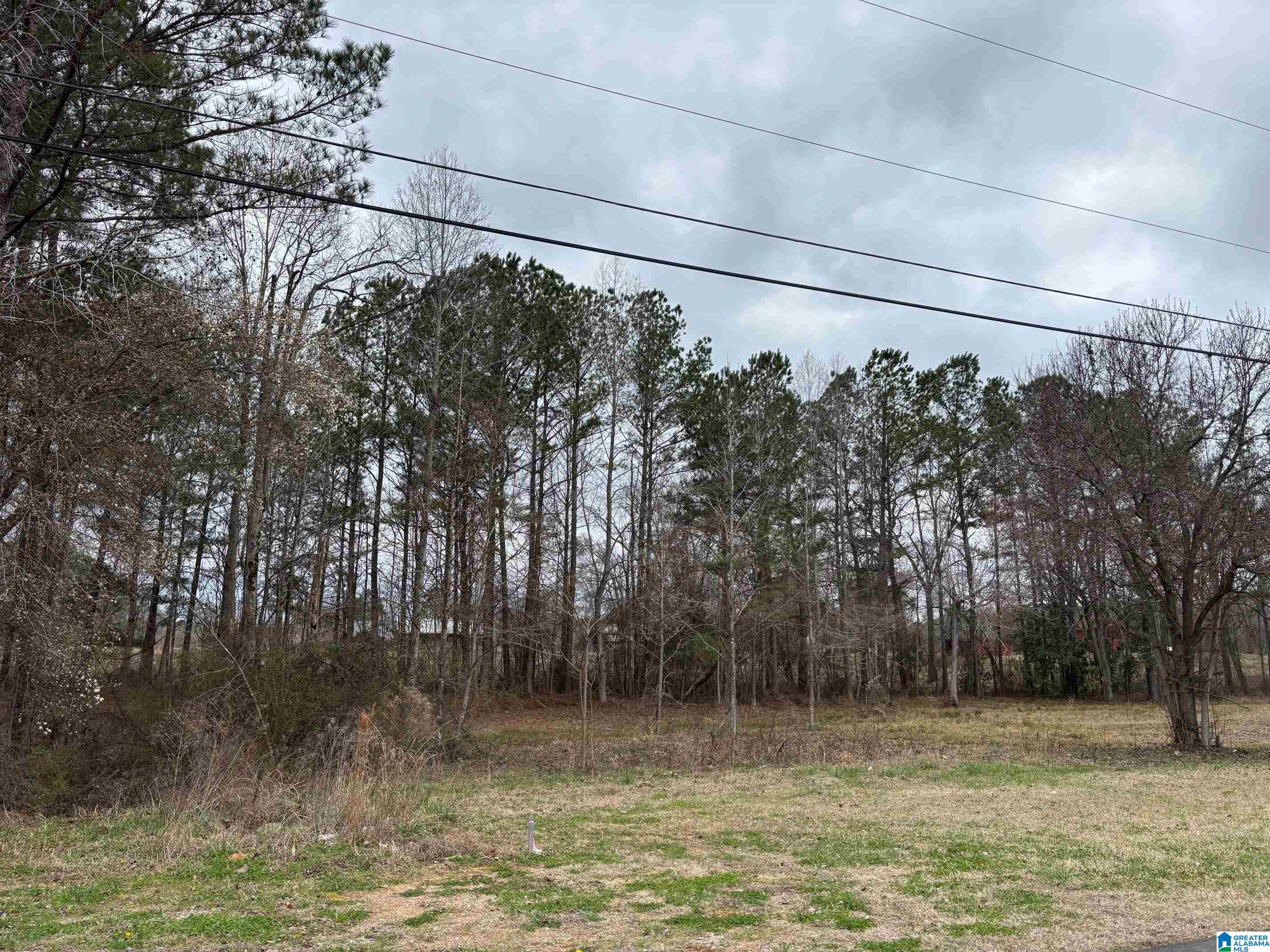 Photo 4 of Land for sale at Rolling Meadows Dr, Jasper, AL 35503 | MLS# 21465447 | Listing updated on 2026-09-18