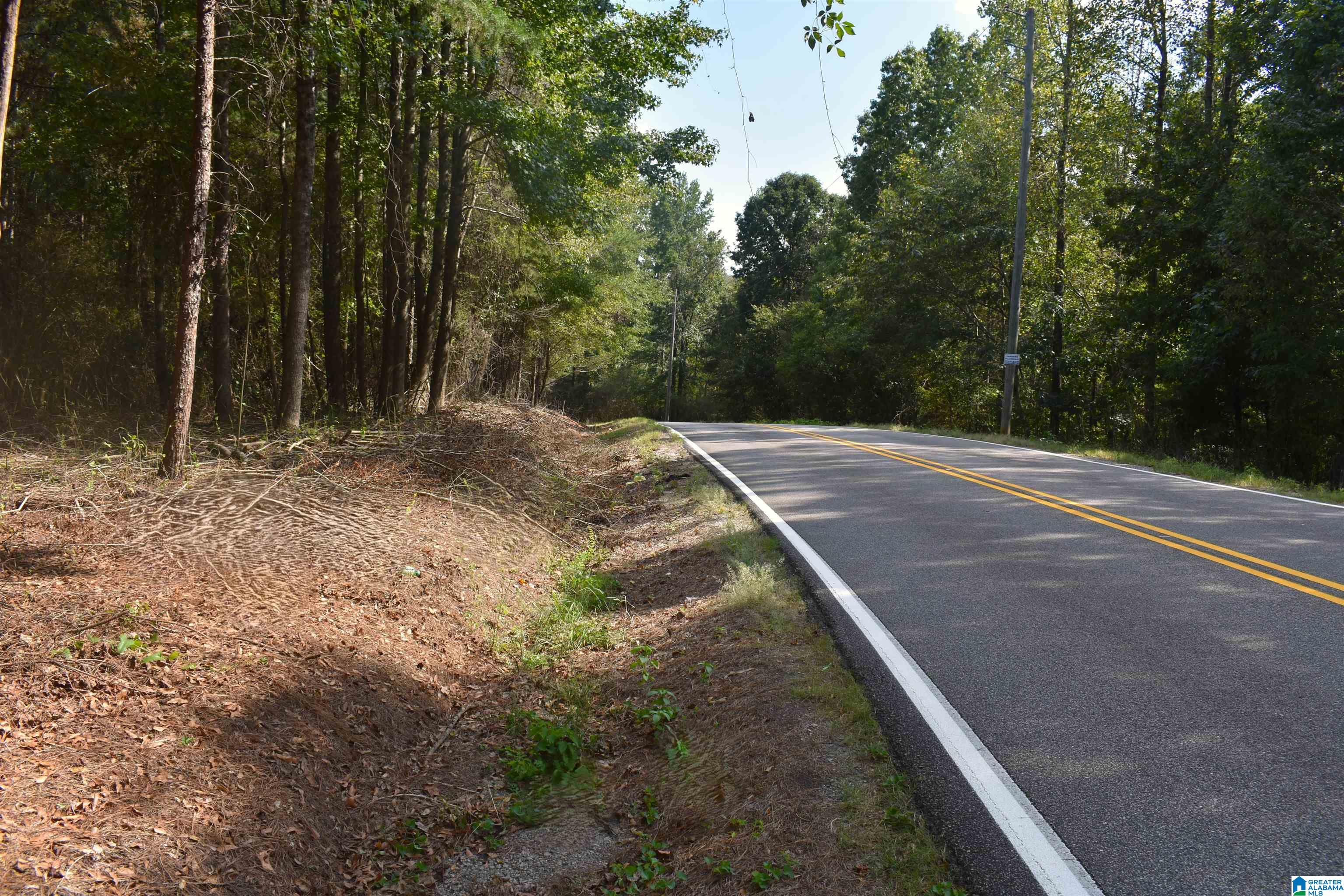 Land for sale at 9171 Bill Jones Rd, WARRIOR, AL 35180 | MLS# 21465465