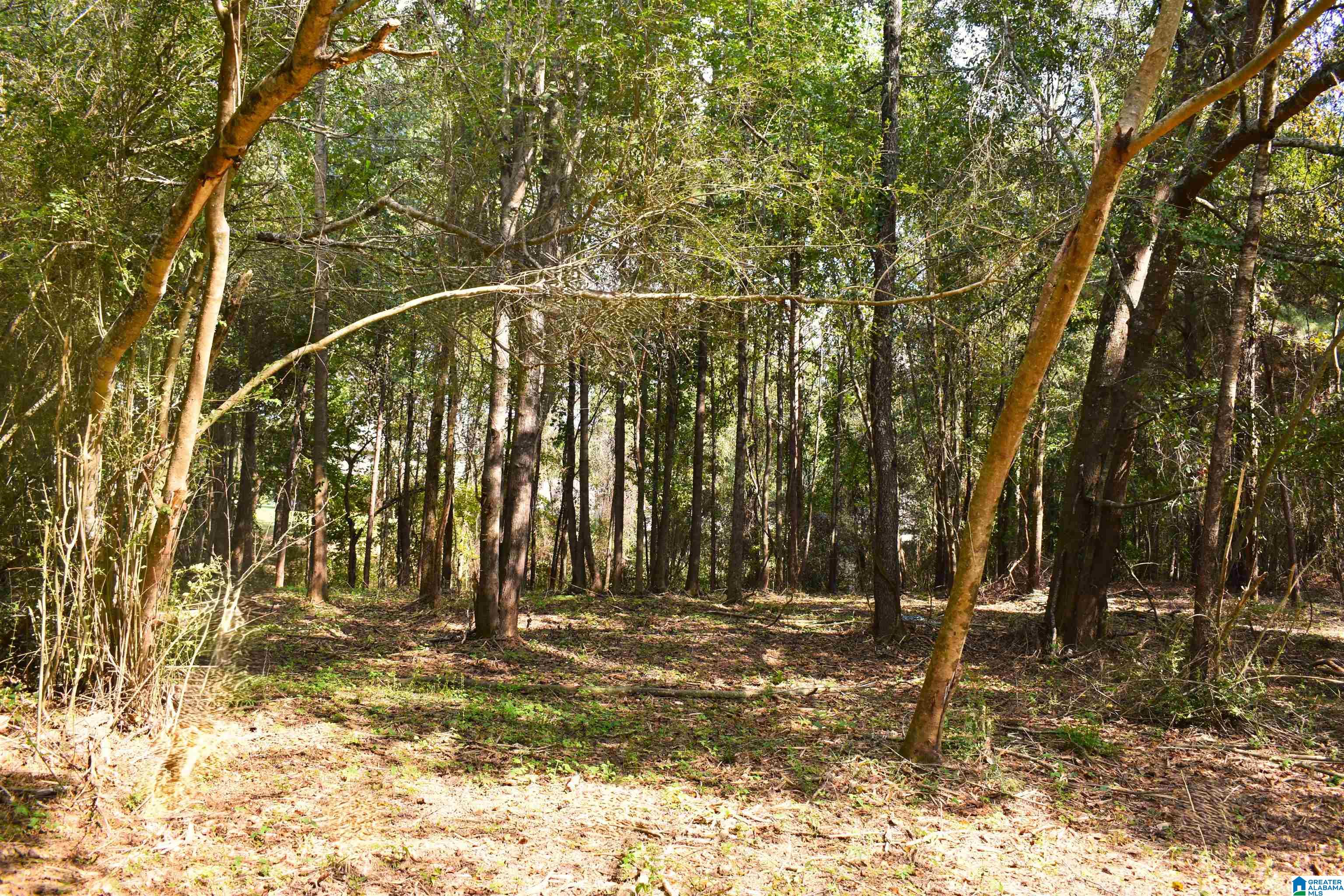 Photo 2 of Land for sale at 9171 Bill Jones Rd, Warrior, AL 35180 | MLS# 21465465 | Listing updated on 2026-09-18