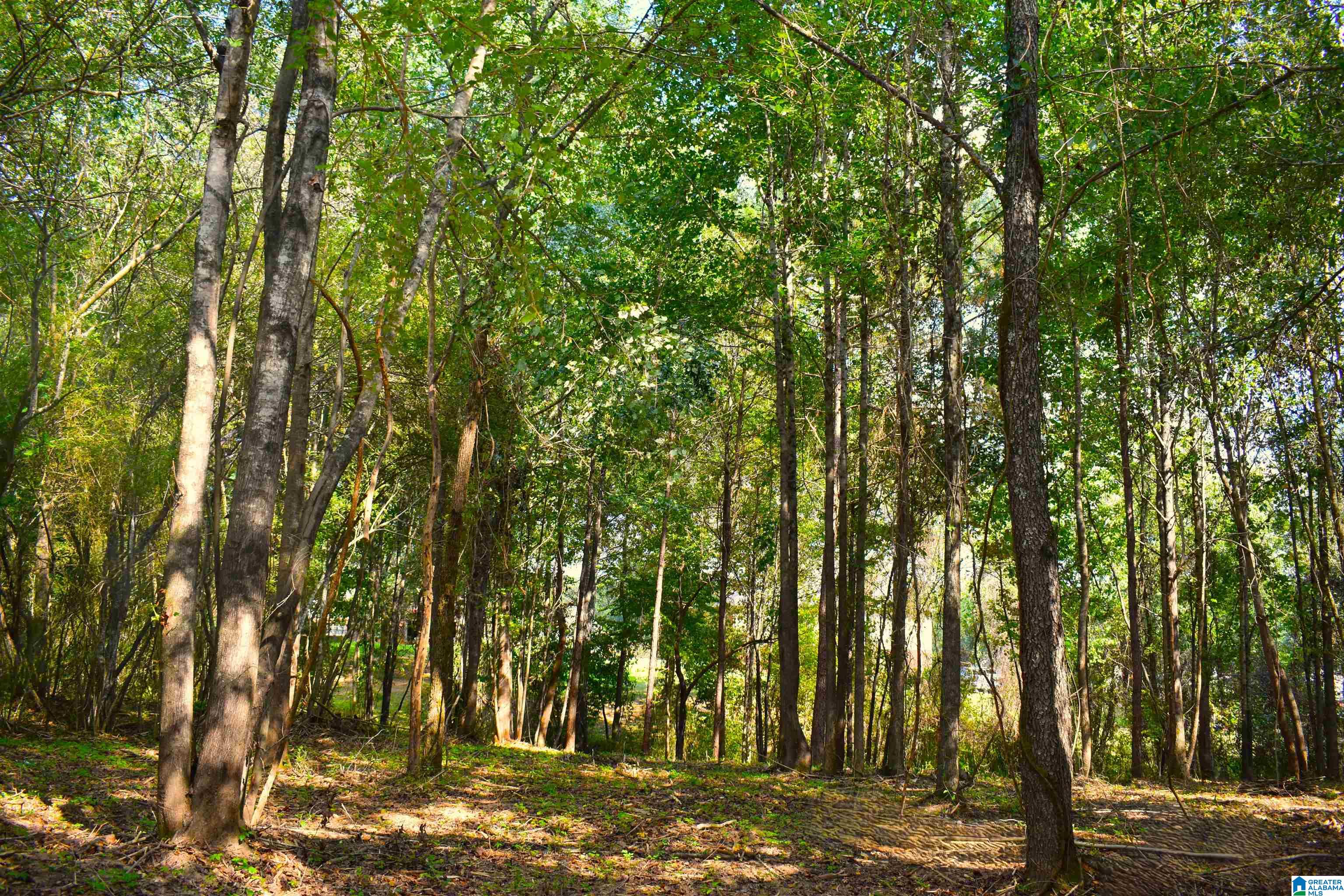 Photo 3 of Land for sale at 9171 Bill Jones Rd, Warrior, AL 35180 | MLS# 21465465 | Listing updated on 2026-09-18