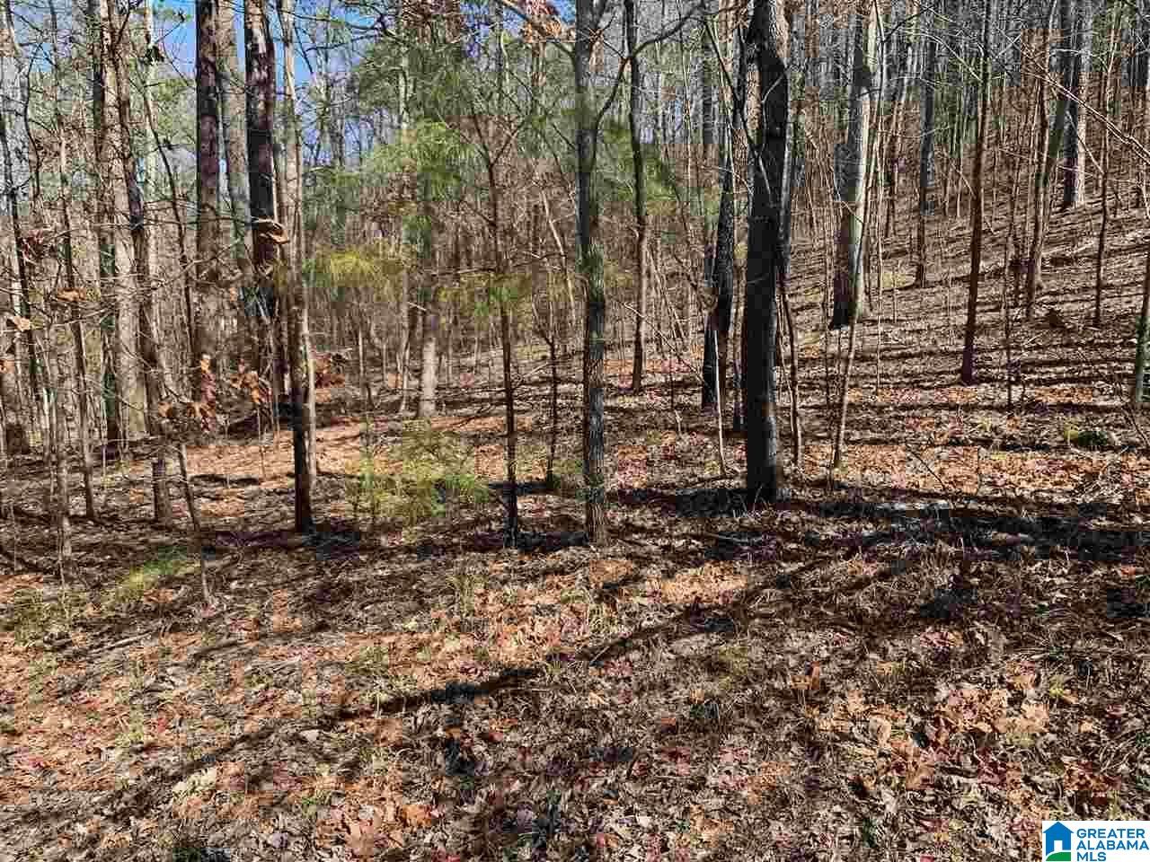 Land for sale at 8511 Scenic Ridge Dr, PINSON, AL 35126 | MLS# 21465483