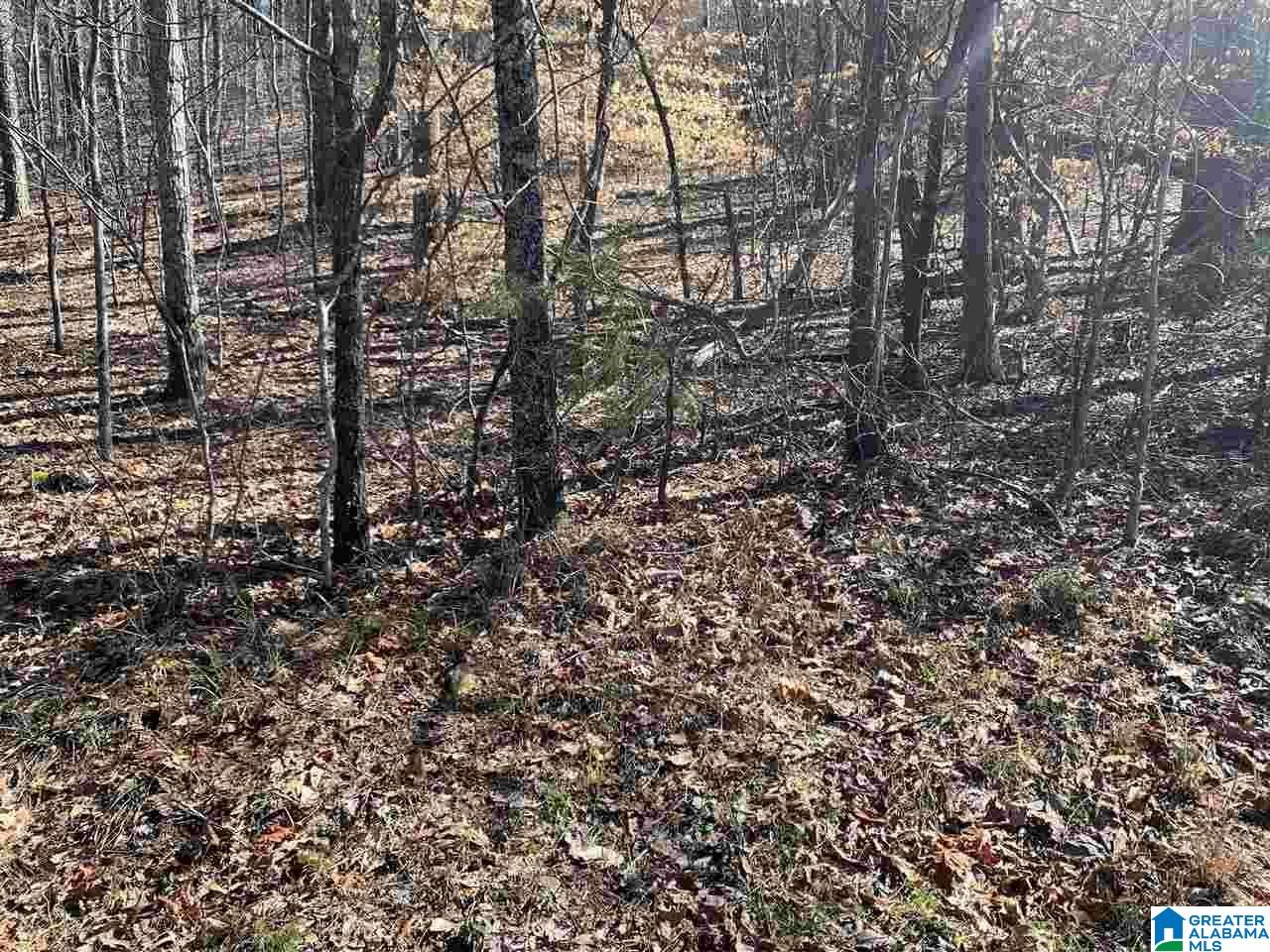 Photo 2 of Land for sale at 8511 Scenic Ridge Dr, Pinson, AL 35126 | MLS# 21465483 | Listing updated on 2026-09-18