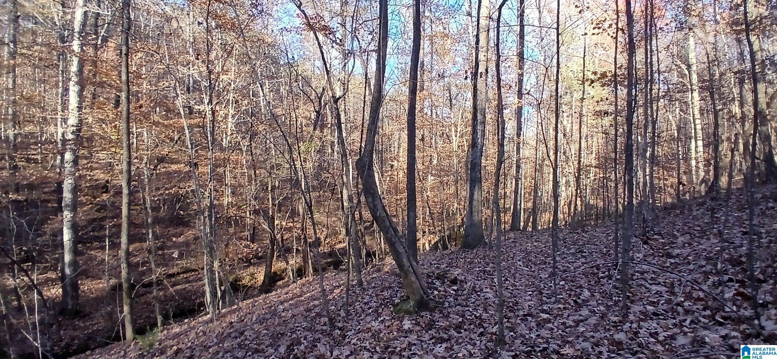Photo 2 of Land for sale at 0 Blackjack Rd, Trussville, AL 35173 | MLS# 21465500 | Listing updated on 2026-09-19