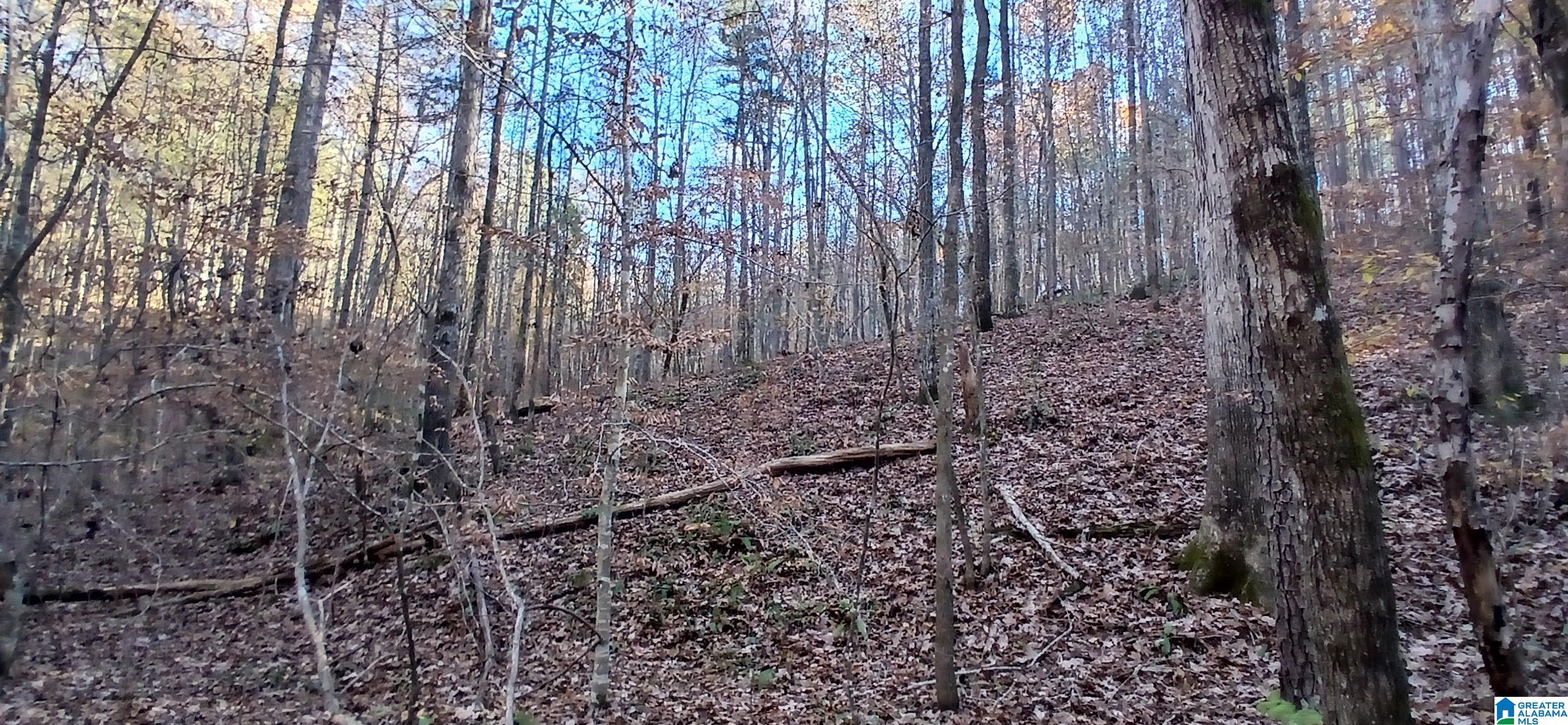 Photo 3 of Land for sale at 0 Blackjack Rd, Trussville, AL 35173 | MLS# 21465500 | Listing updated on 2026-09-19