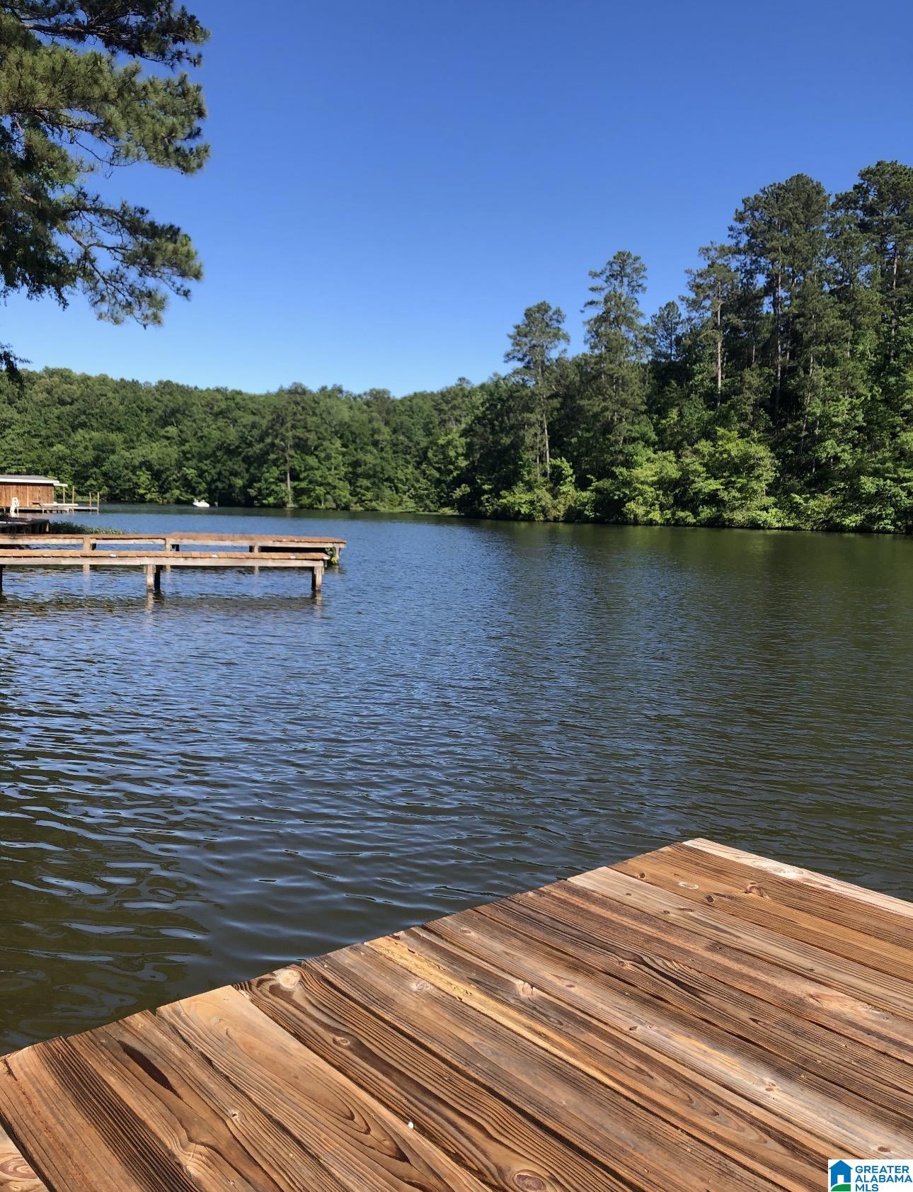 Photo 2 of Single family home for sale at 65 Anglers Ln, Shelby, AL 35143 | MLS# 21465511 | Listing updated on 2026-09-20