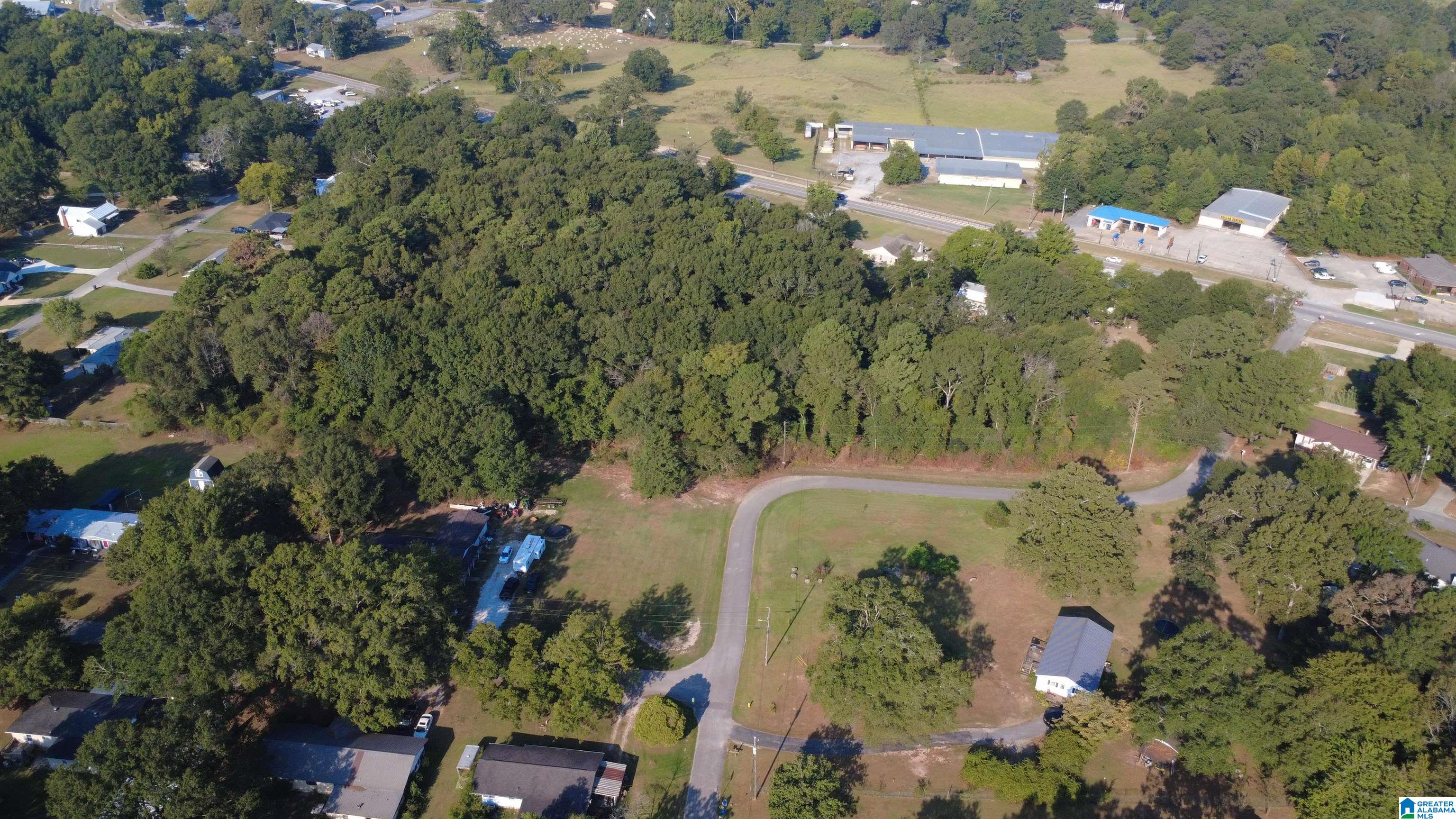 Photo 3 of Land for sale at 0 Spearman St, Wilsonville, AL 35186 | MLS# 21465521 | Listing updated on 2026-09-19