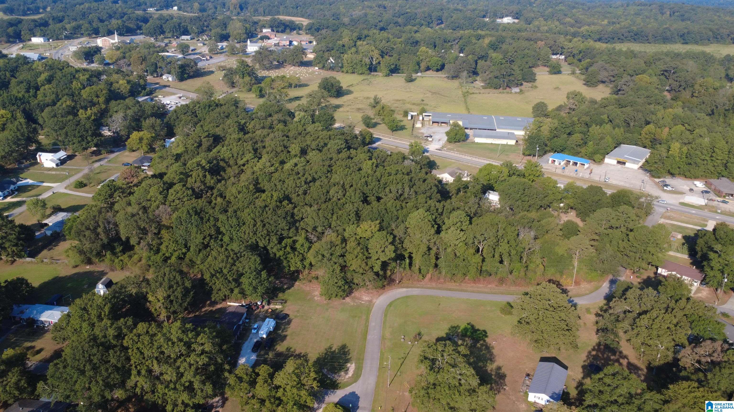 Photo 4 of Land for sale at 0 Spearman St, Wilsonville, AL 35186 | MLS# 21465521 | Listing updated on 2026-09-19