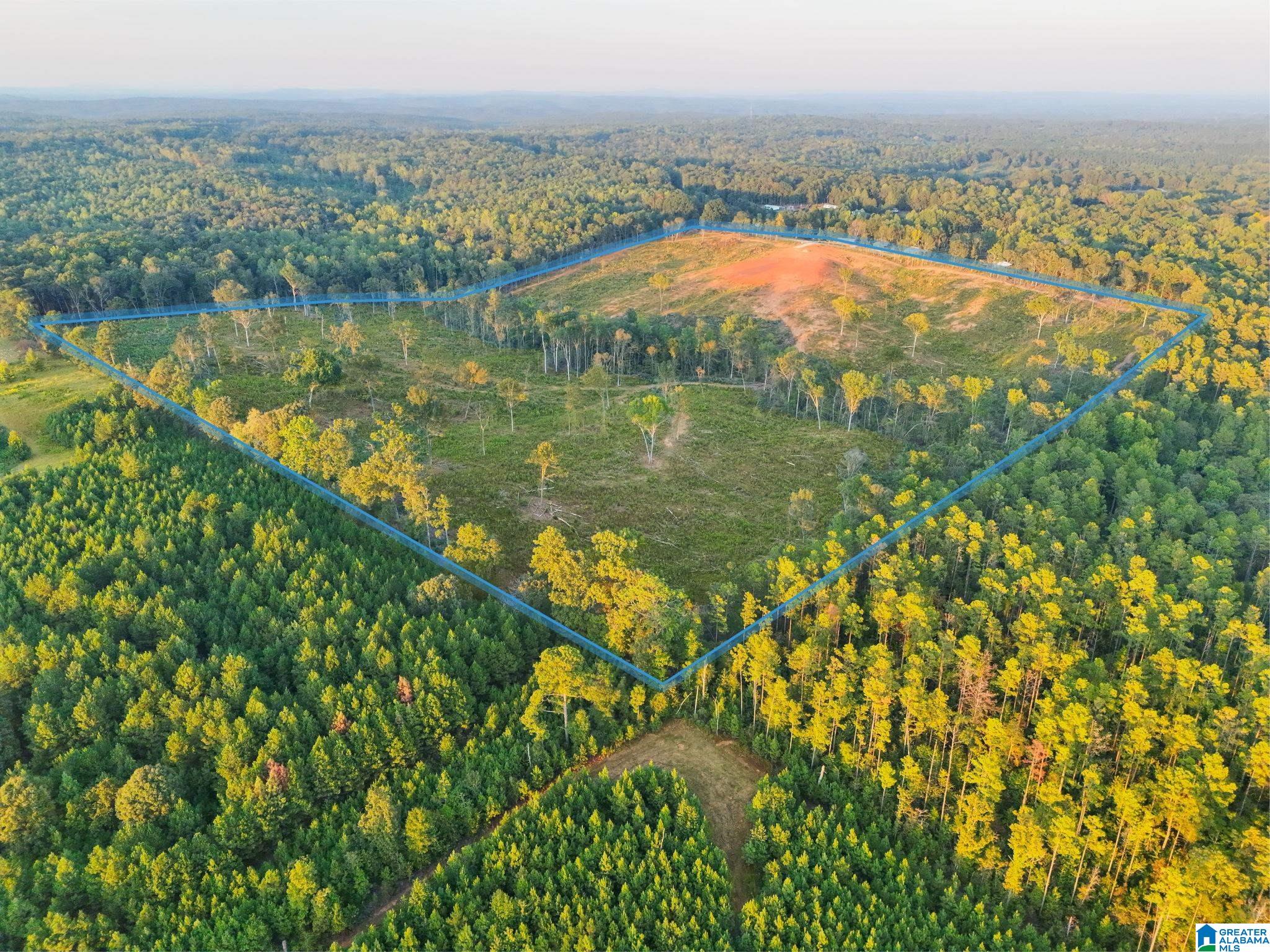 Land for sale at 5651 County Rd 97, CLANTON, AL 35046 | MLS# 21465607