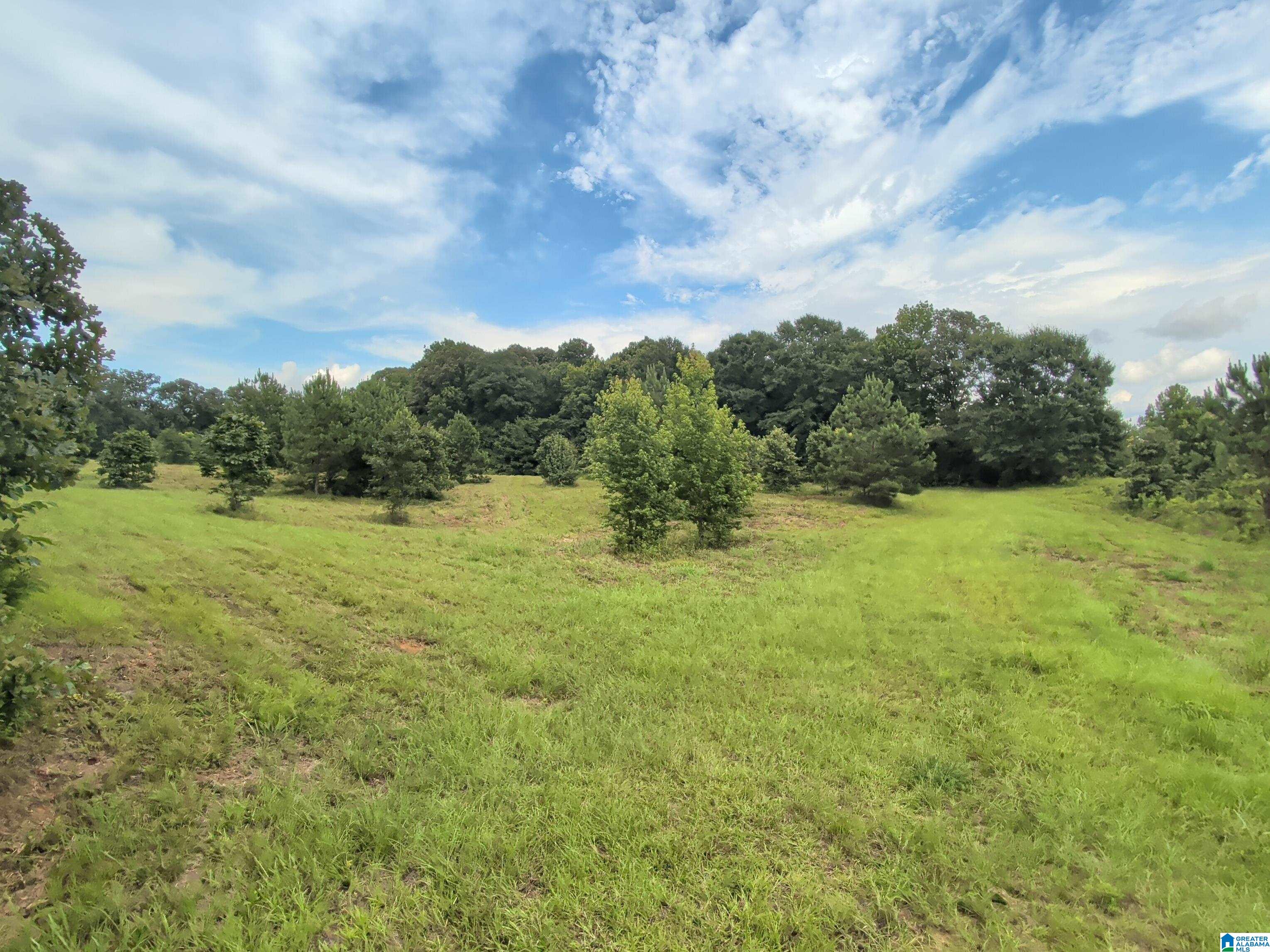 Photo 3 of Land for sale at 0 Barclay Rd, Alpine, AL 35014 | MLS# 21465629 | Listing updated on 2026-09-21
