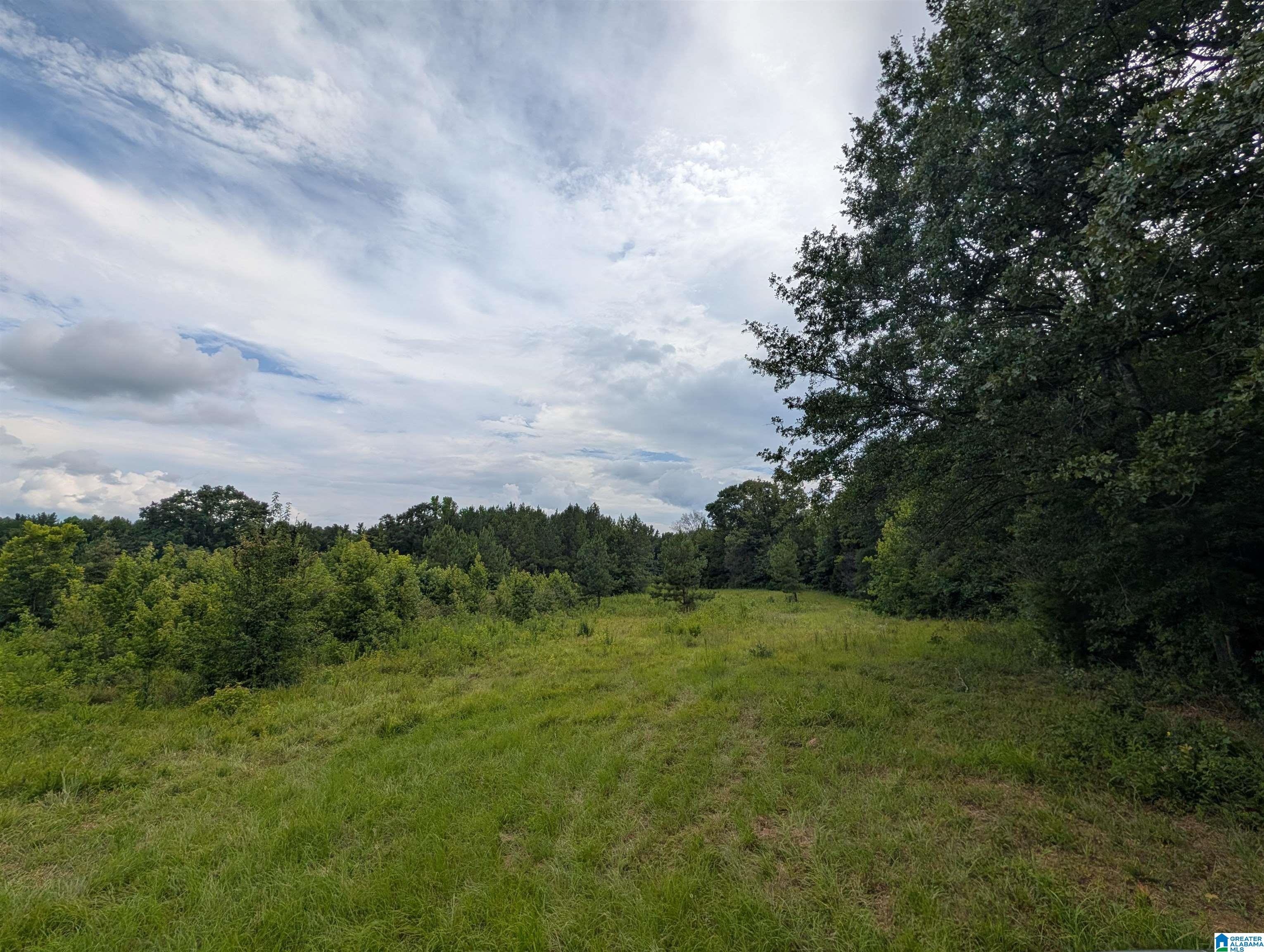 Photo 4 of Land for sale at 0 Barclay Rd, Alpine, AL 35014 | MLS# 21465629 | Listing updated on 2026-09-21