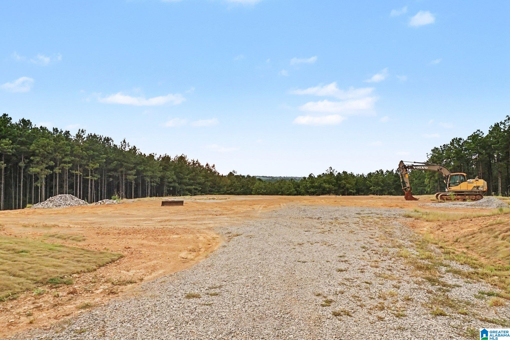 Photo 3 of Land for sale at 372 Chelsea Farms Ln, Chelsea, AL 35043 | MLS# 21465706 | Listing updated on 2026-09-22