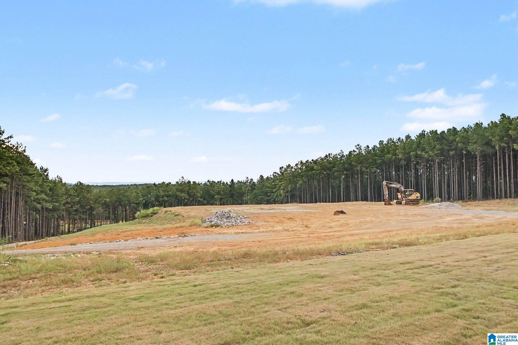 Photo 4 of Land for sale at 372 Chelsea Farms Ln, Chelsea, AL 35043 | MLS# 21465706 | Listing updated on 2026-09-22