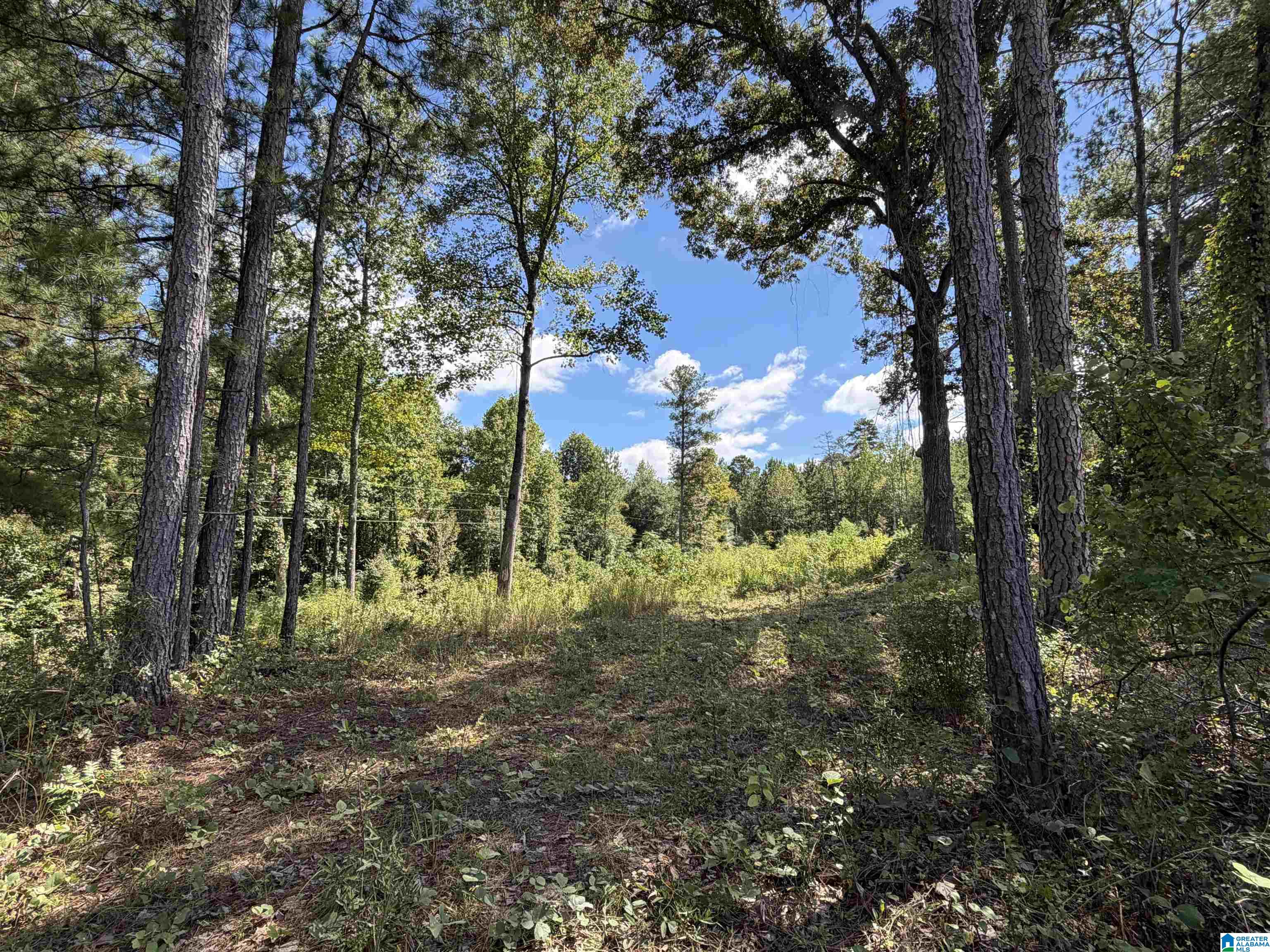 Photo 3 of Land for sale at 0 County Rd 267, Lanett, AL 36863 | MLS# 21465872 | Listing updated on 2026-09-25