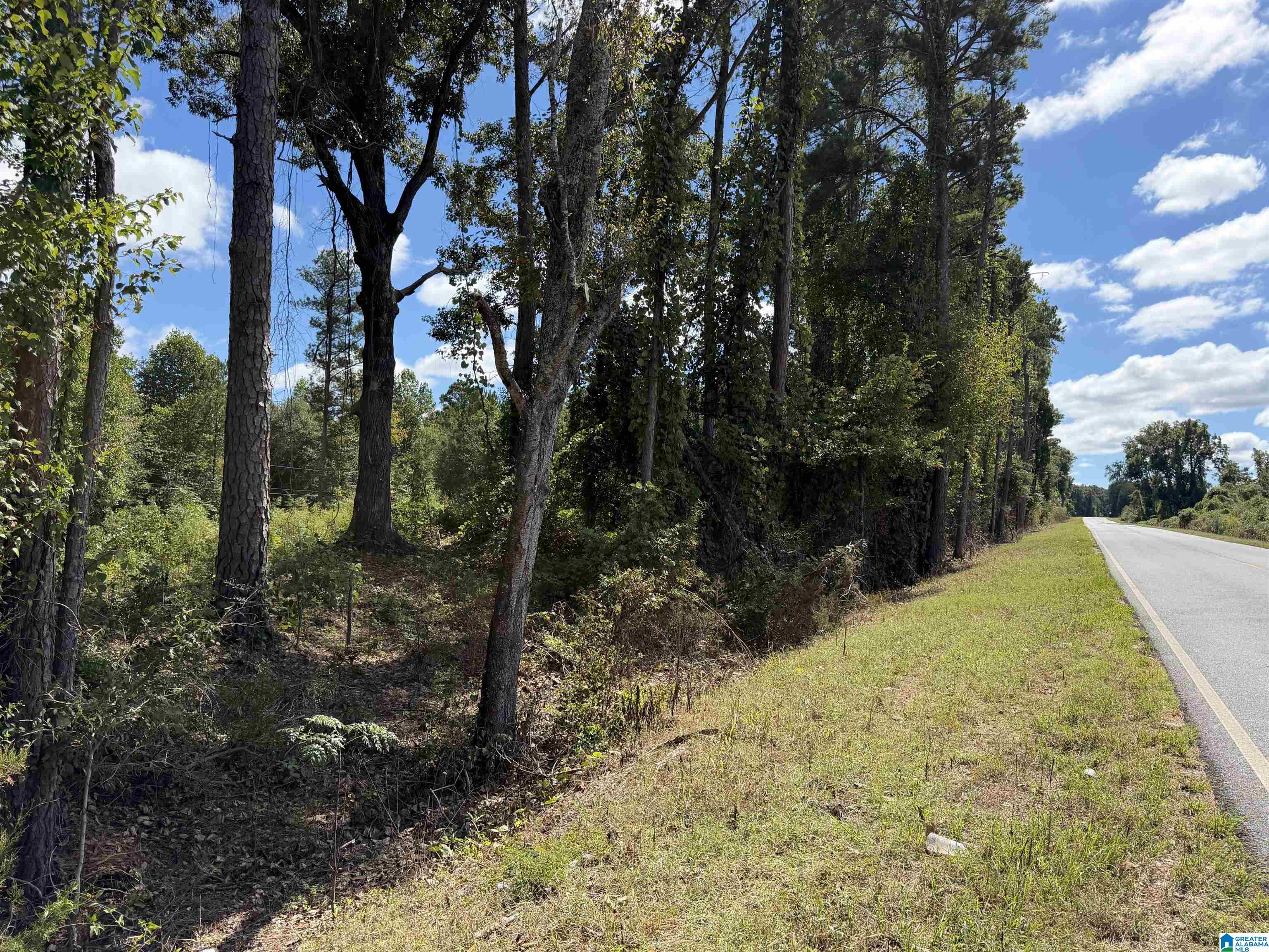 Photo 4 of Land for sale at 0 County Rd 267, Lanett, AL 36863 | MLS# 21465872 | Listing updated on 2026-09-25