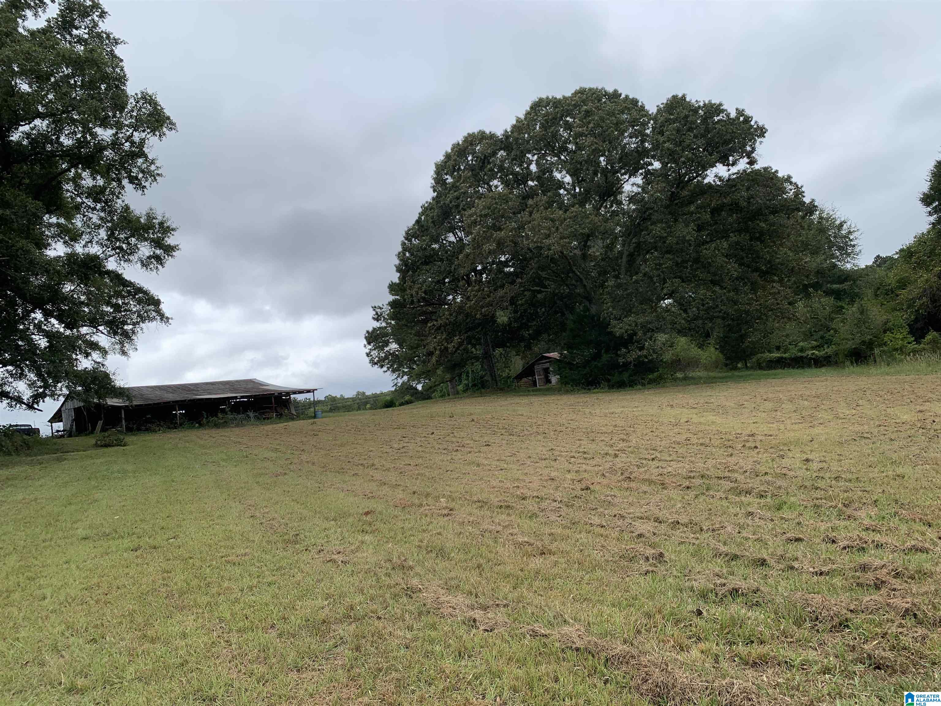 Photo 1 of Land for sale at 1751 Rivendell Rd, Dadeville, AL 36853 | MLS# 21466015 | Listing updated on 2026-09-25