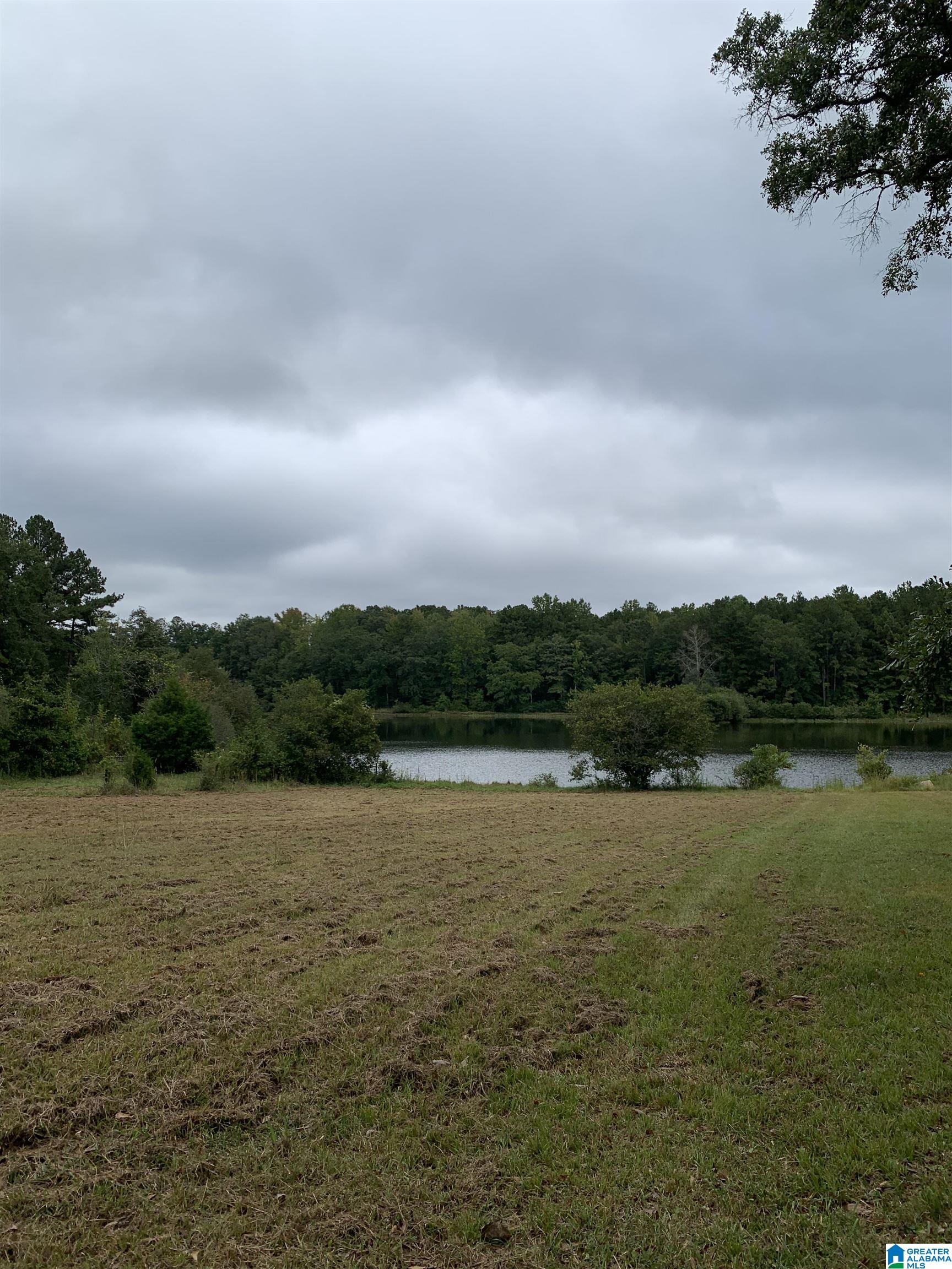 Photo 2 of Land for sale at 1751 Rivendell Rd, Dadeville, AL 36853 | MLS# 21466015 | Listing updated on 2026-09-25