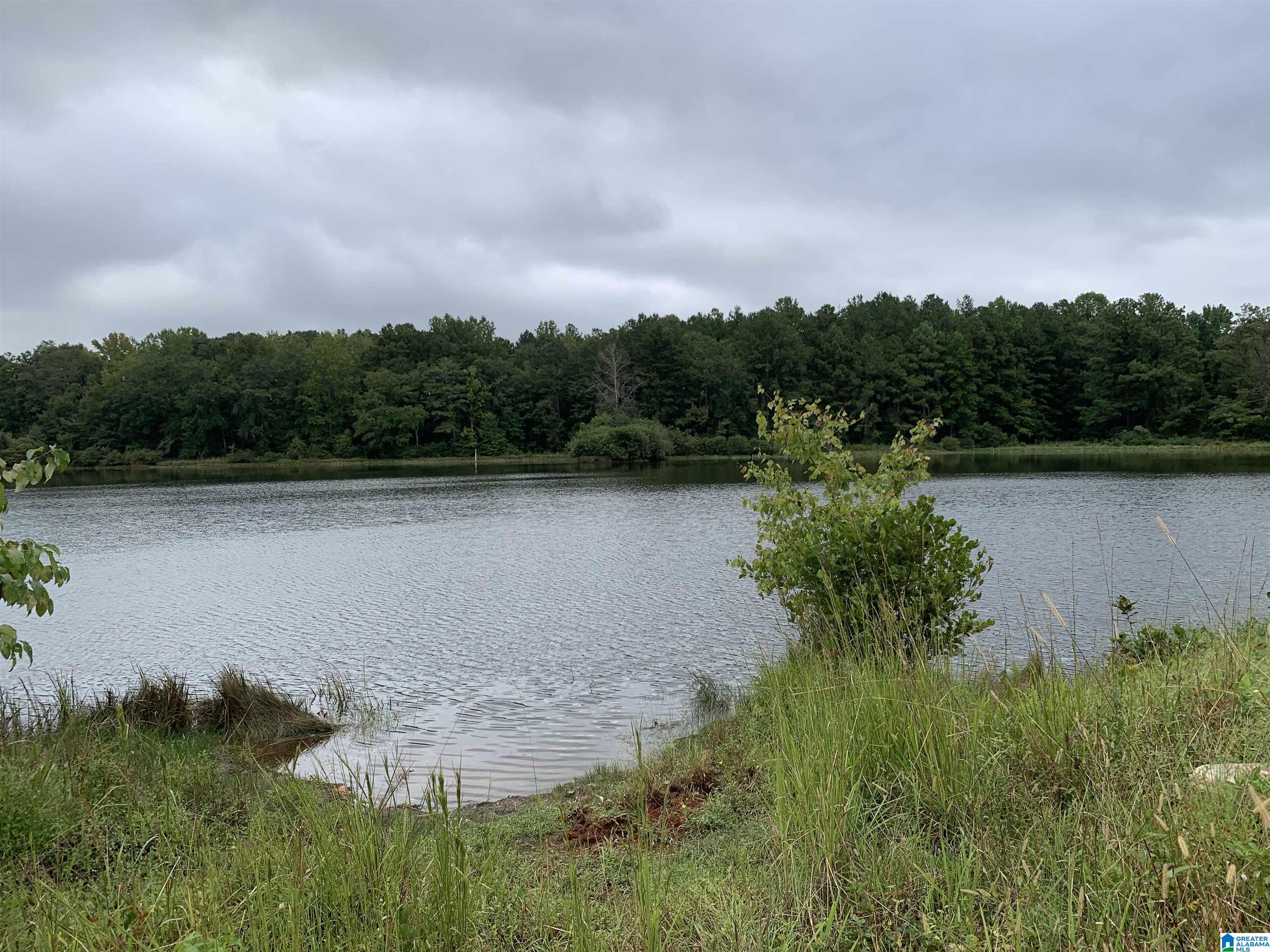 Photo 3 of Land for sale at 1751 Rivendell Rd, Dadeville, AL 36853 | MLS# 21466015 | Listing updated on 2026-09-25