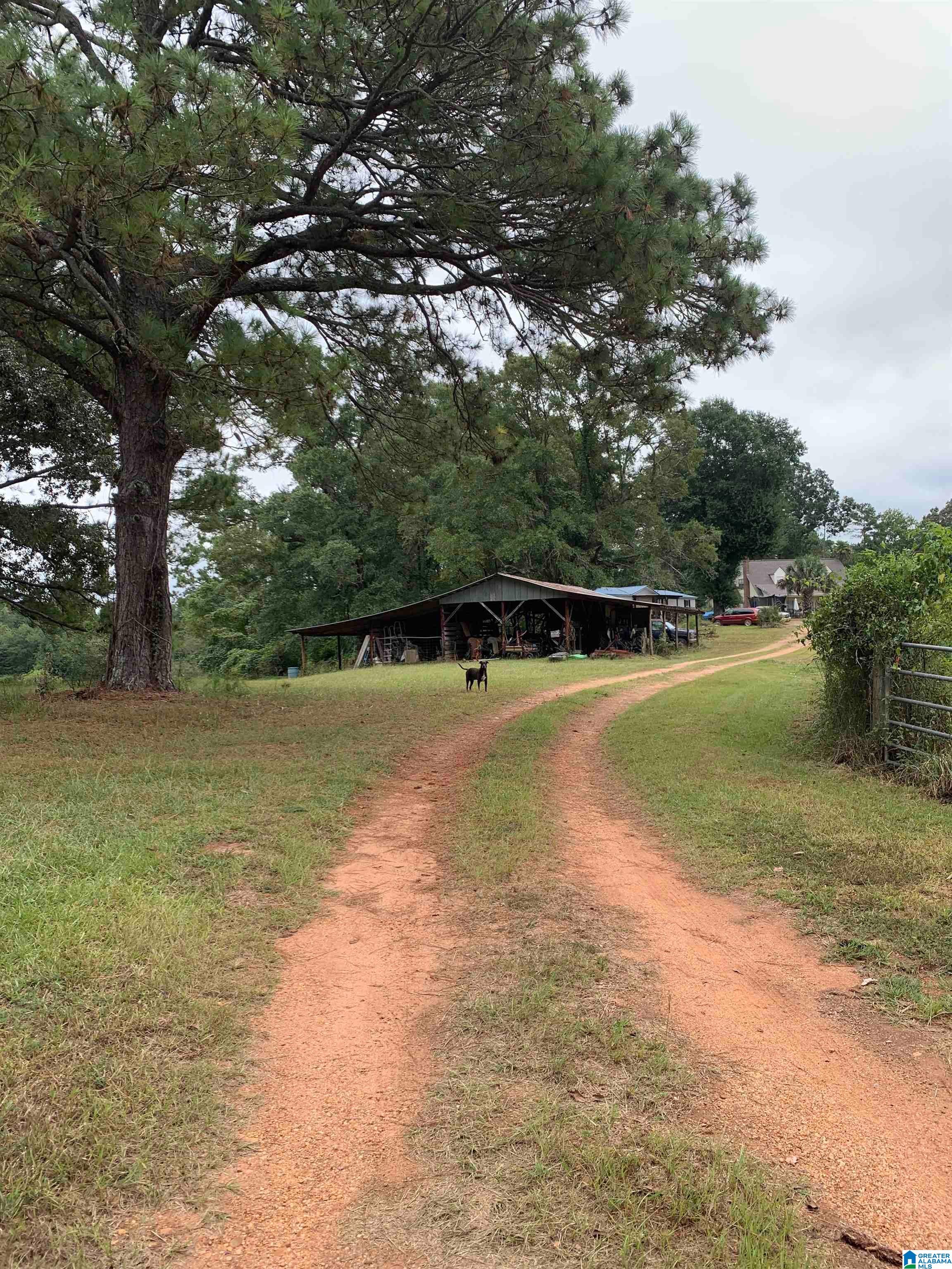 Photo 4 of Land for sale at 1751 Rivendell Rd, Dadeville, AL 36853 | MLS# 21466015 | Listing updated on 2026-09-25