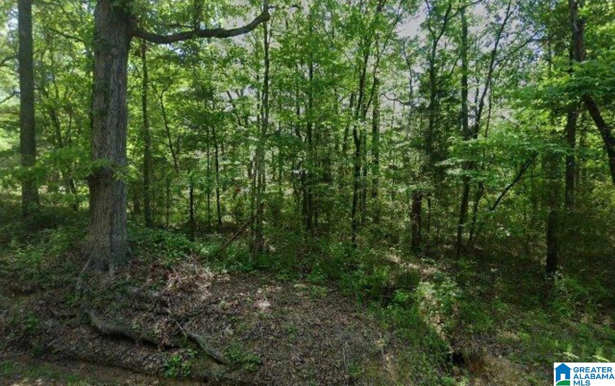 4870 HARPER ROAD