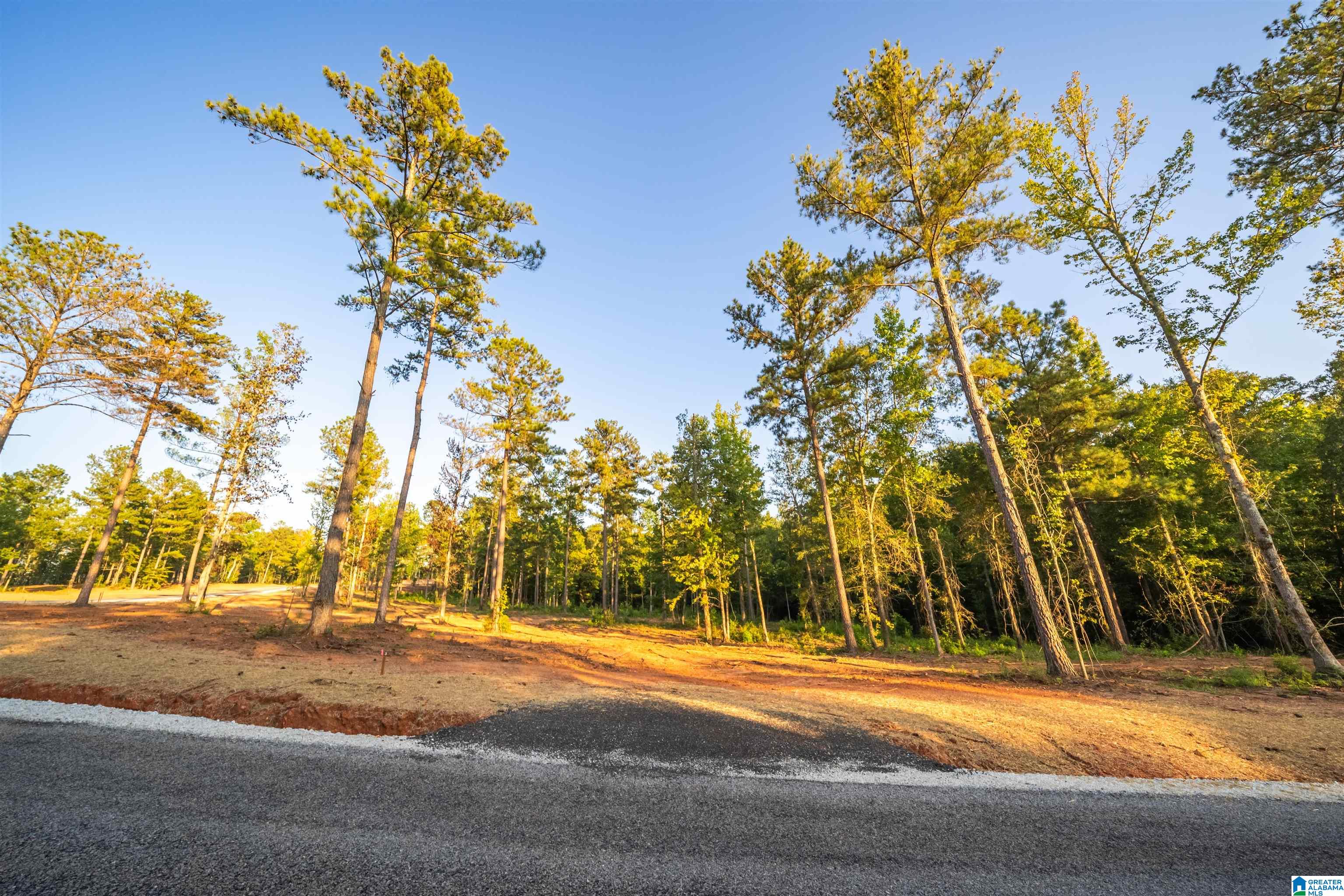 Lot19 Cam's Cov OLD HIGHWAY 431