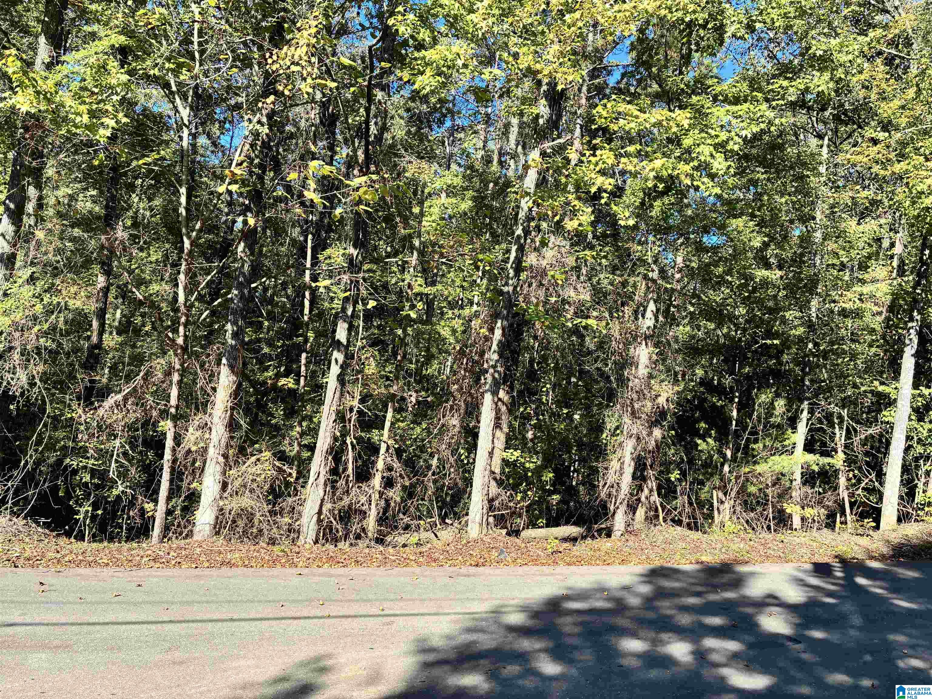 000 MOUNTAIN VIEW LANE