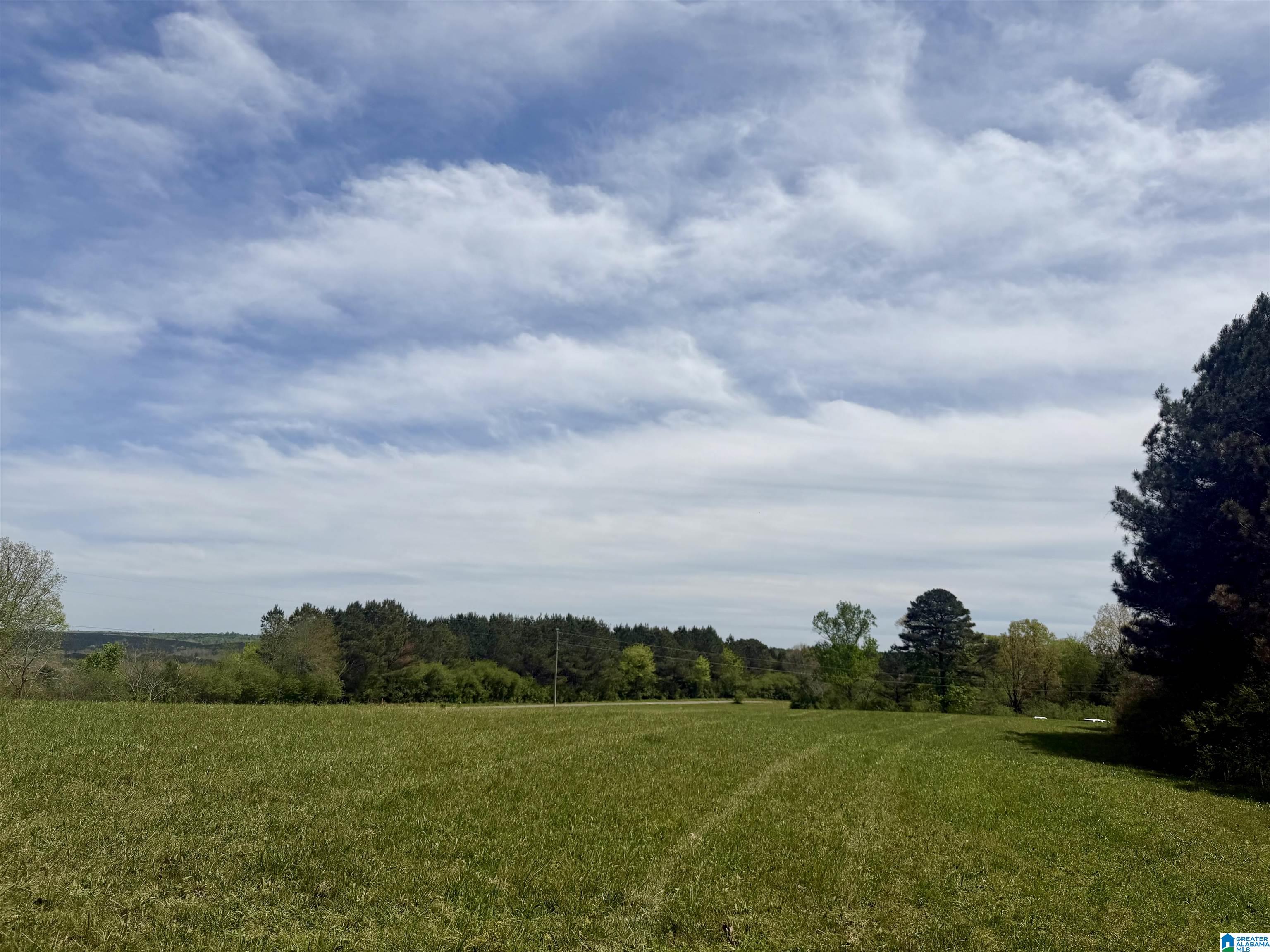 0 COUNTY ROAD 1061
