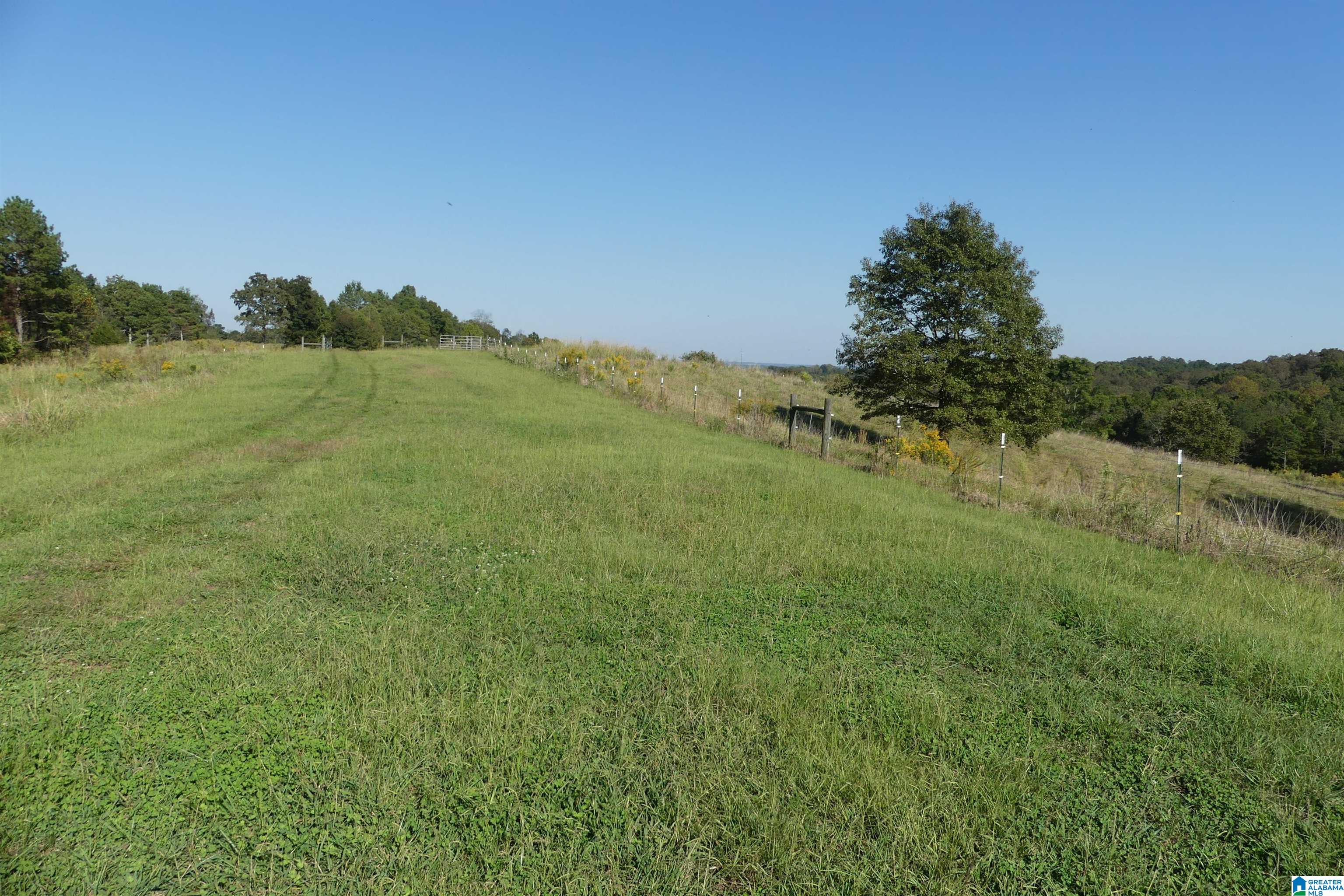 13069 HIGHWAY 48