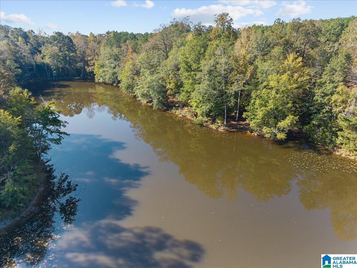 Photo 1 of Single family home for sale at 148 County Rd 33, Oneonta, AL 35121 | MLS# 21467896 | Listing updated on 2026-10-21