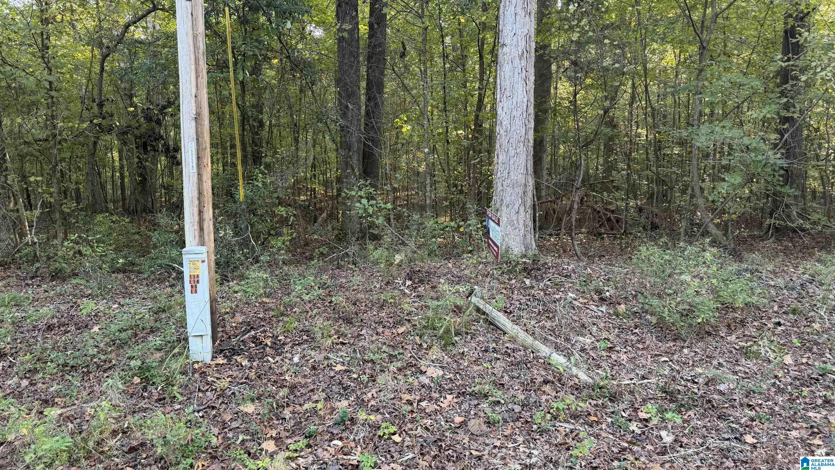 00 SOUTHERN SPORTSMAN LOOP