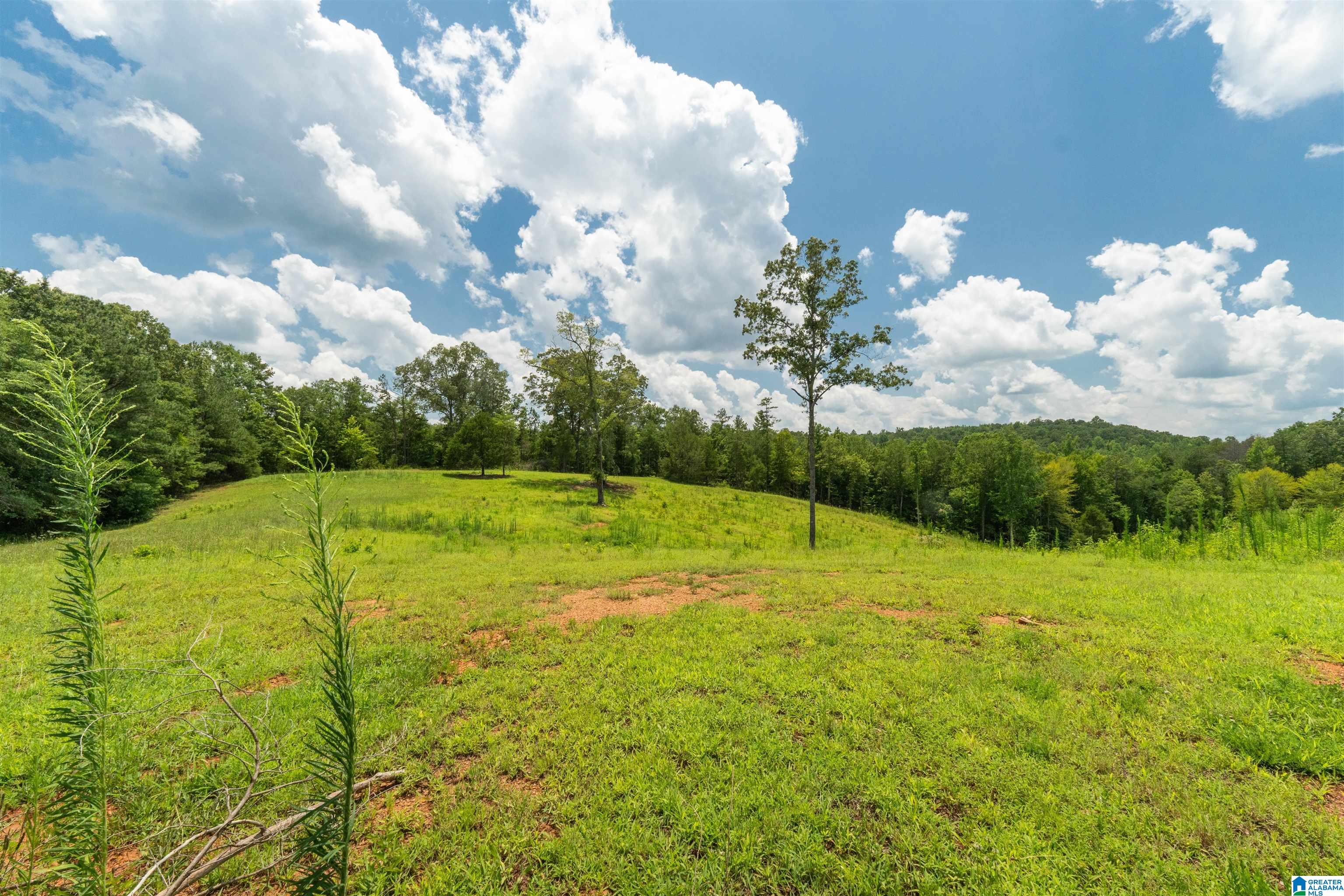 Photo 3 of Land for sale at 1310 County Rd 269, Wedowee, AL 36278 | MLS# 21468004 | Listing updated on 2026-10-18