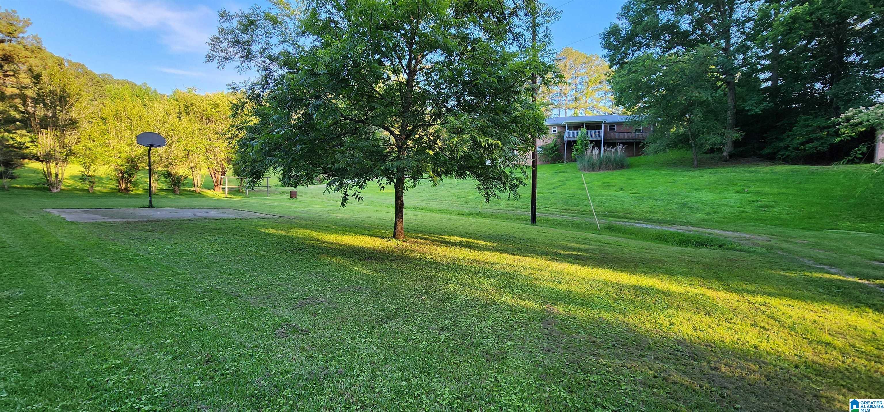 Photo 3 of Single family home for sale at 161 Highway 33, Oneonta, AL 35121 | MLS# 21468220 | Listing updated on 2026-10-22