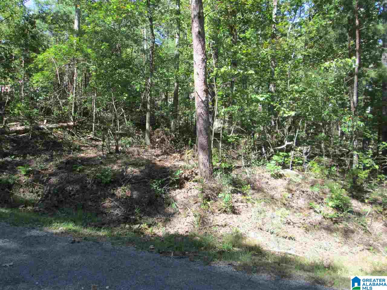 1st image of Lot 161 Creekside Dr, Pinson, AL 35126 | MLS# 831407