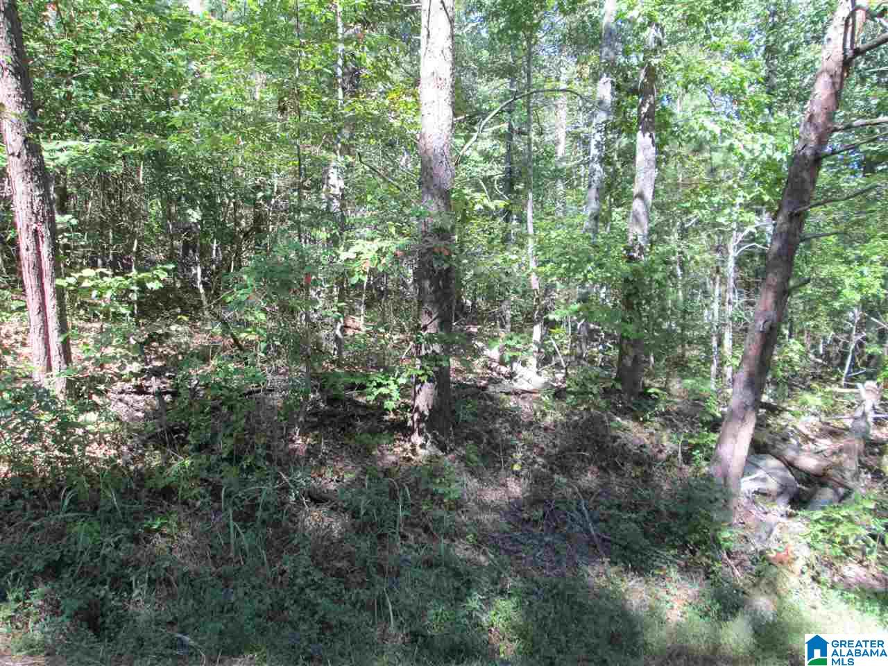 2nd image of Lot 161 Creekside Dr, Pinson, AL 35126 | MLS# 831407