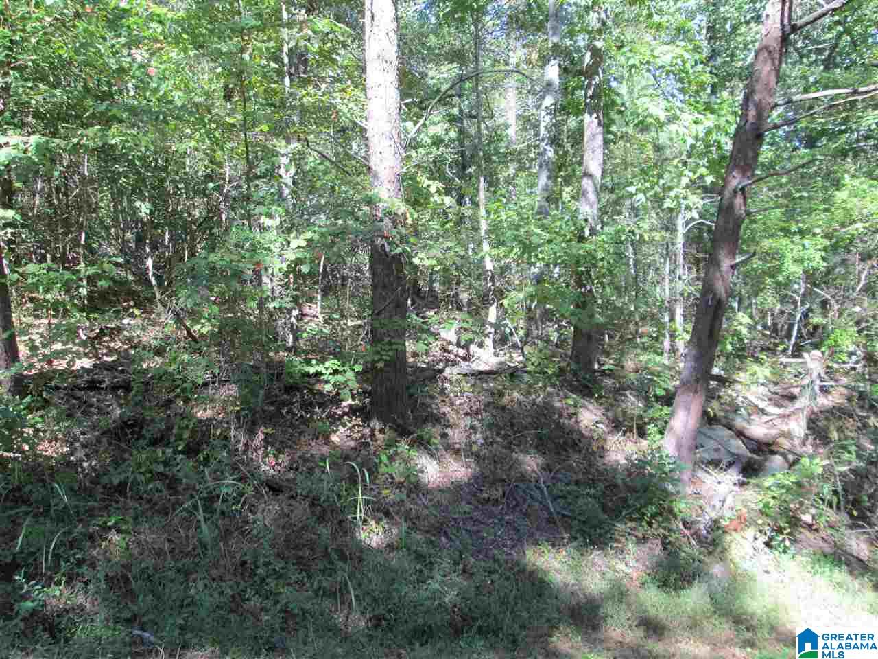 3rd image of Lot 161 Creekside Dr, Pinson, AL 35126 | MLS# 831407
