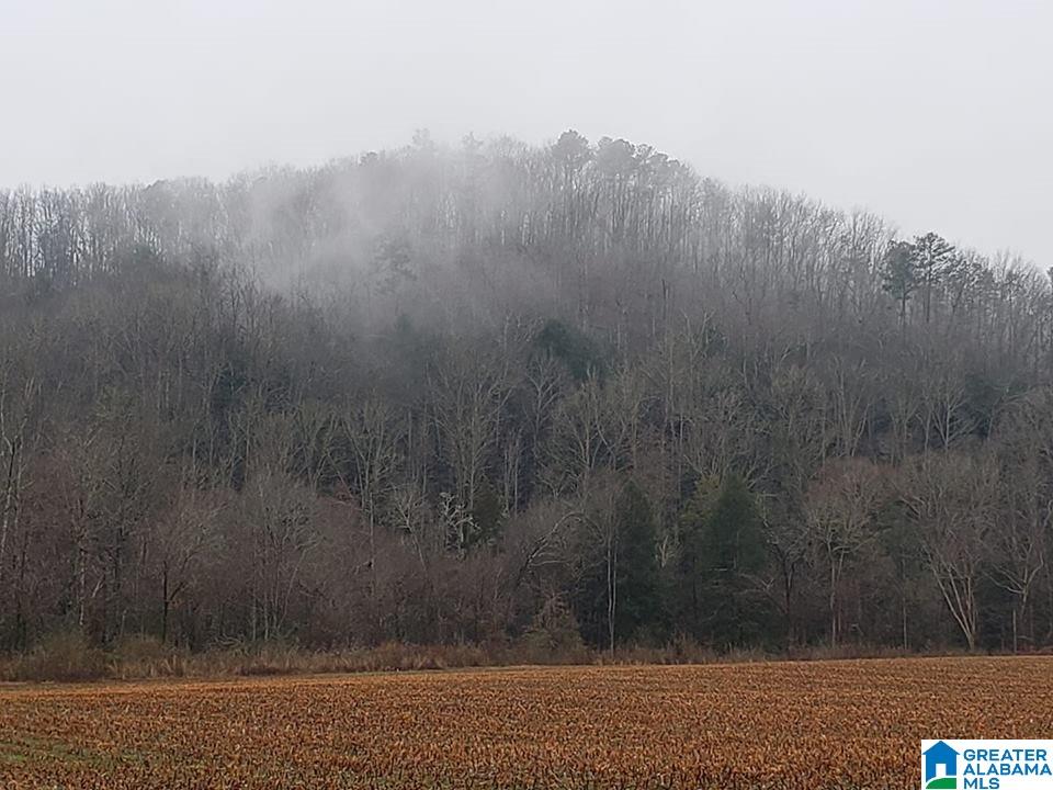 Hwy 278E VALLEY DRIVE