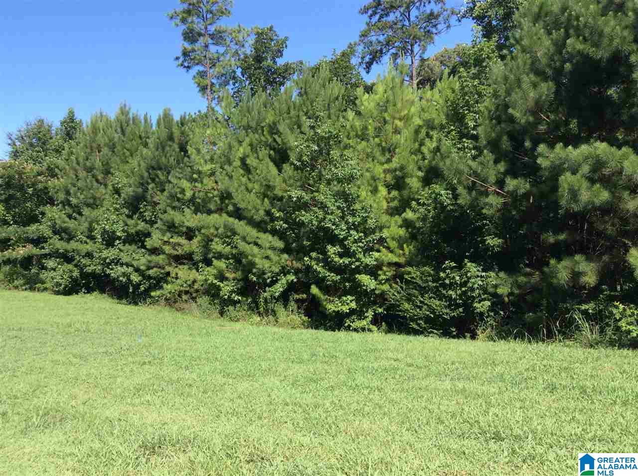 LOT 1 INDIAN GATE CIRCLE