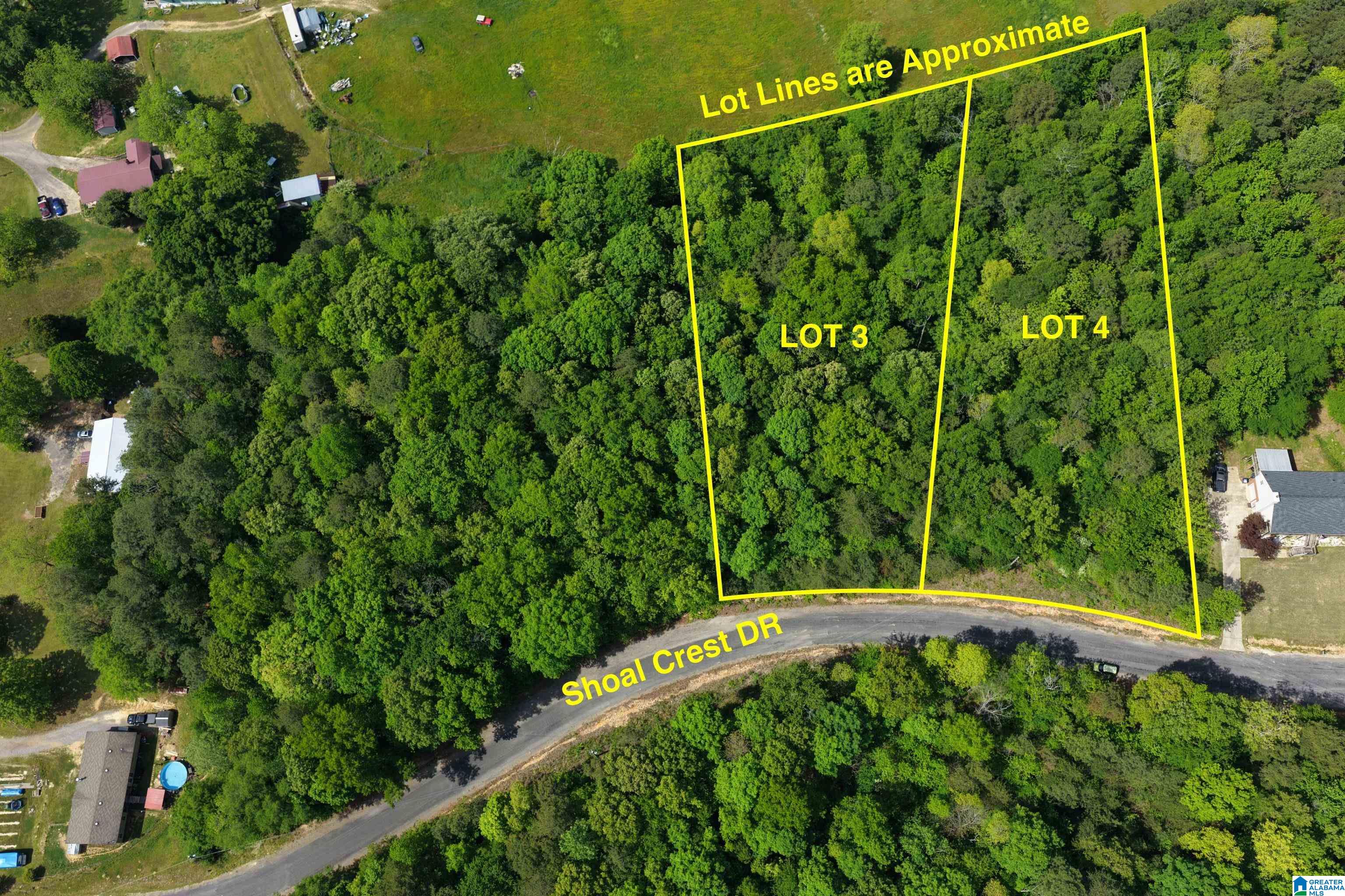 000 SHOAL CREST DRIVE