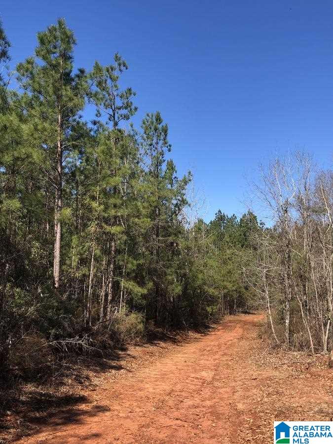 COUNTY ROAD 39