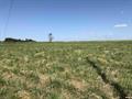 10 acres successfully auctioned in Daviess County Indiana