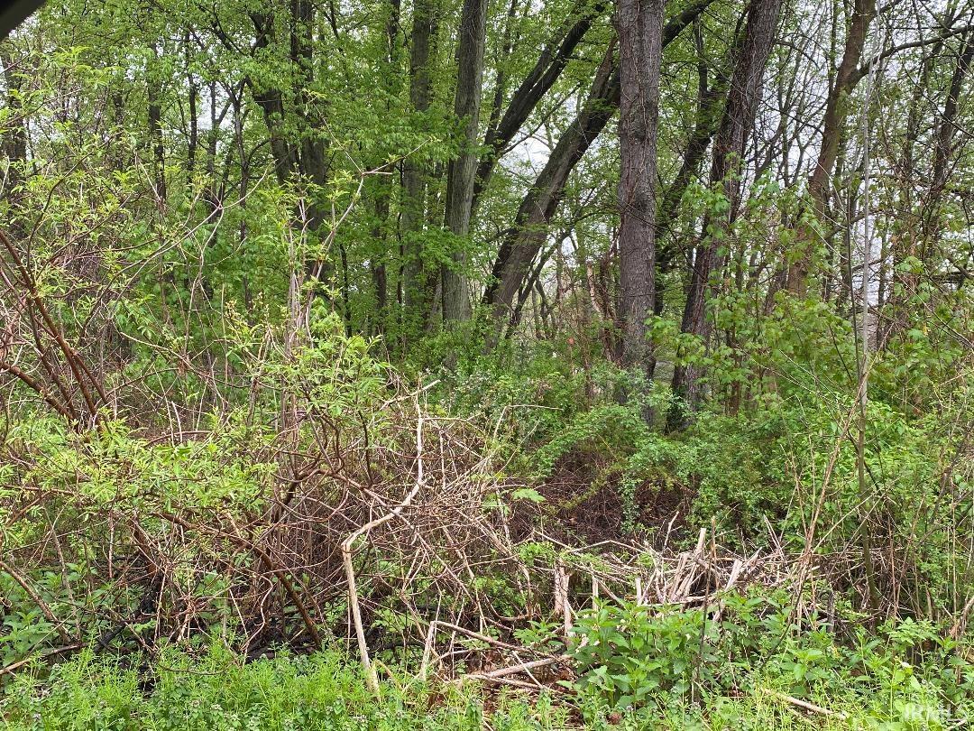 Photo 8 of Lot 2 Rivercrest Drive