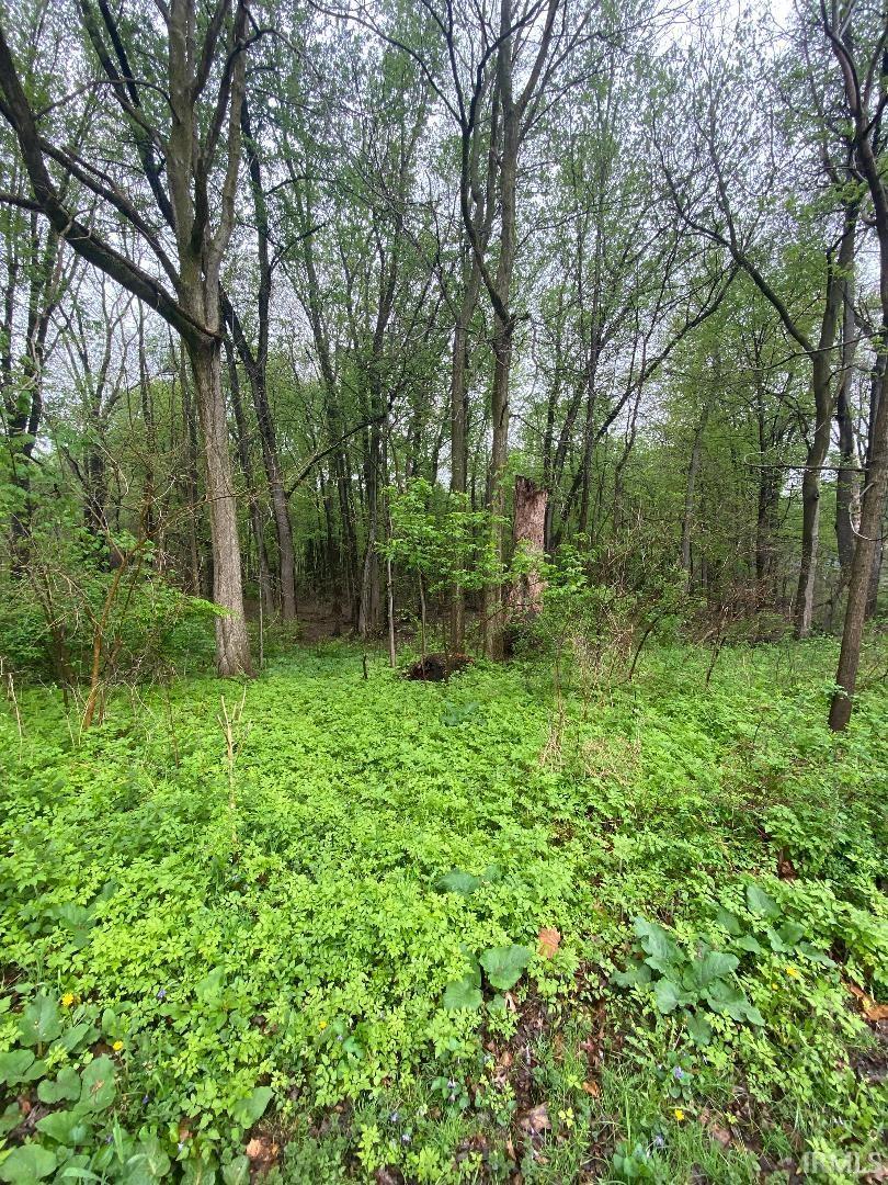Photo 4 of Lot 3 Rivercrest Drive