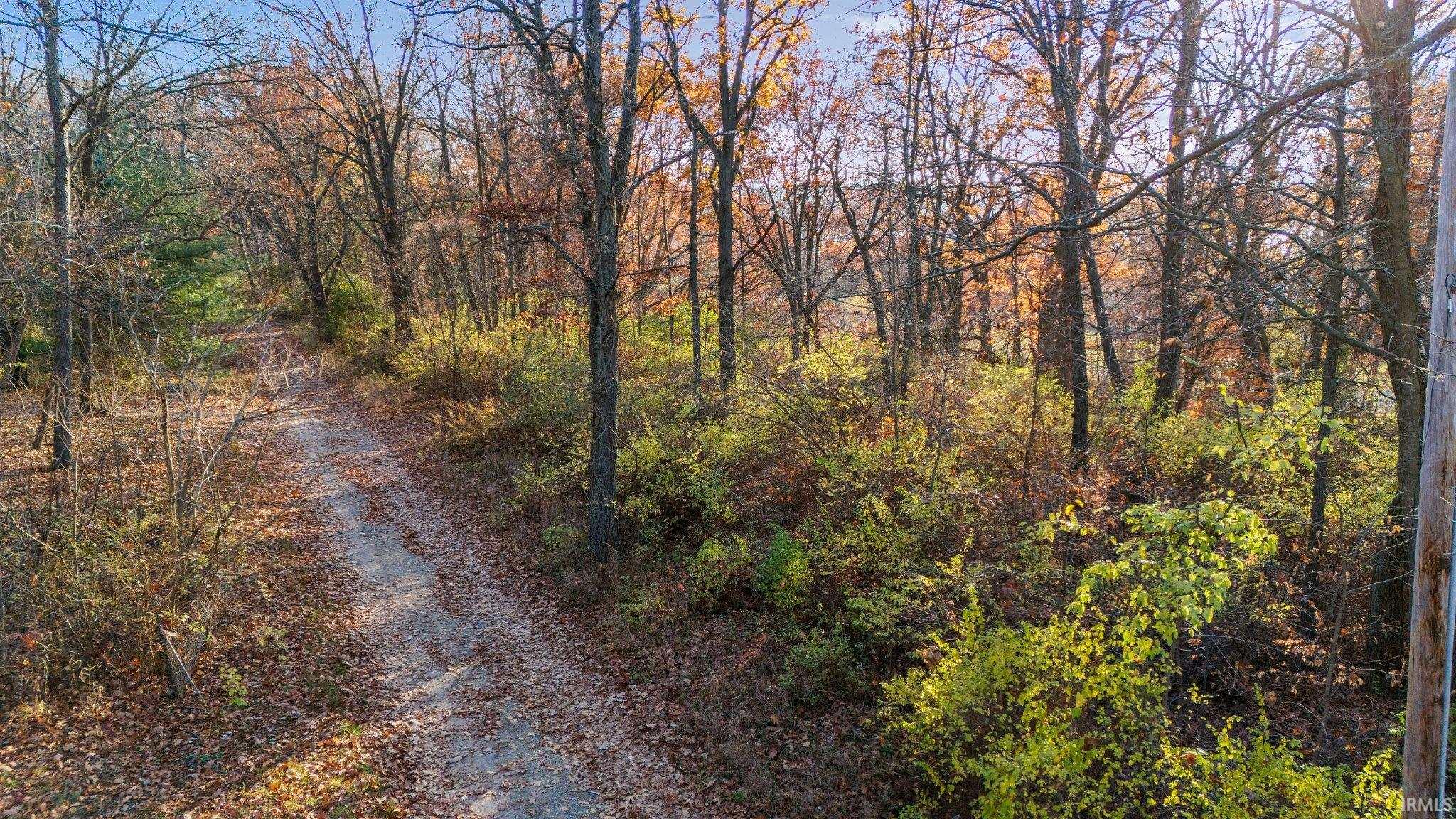 Photo 14 of Ln 355 Jimmerson Lake