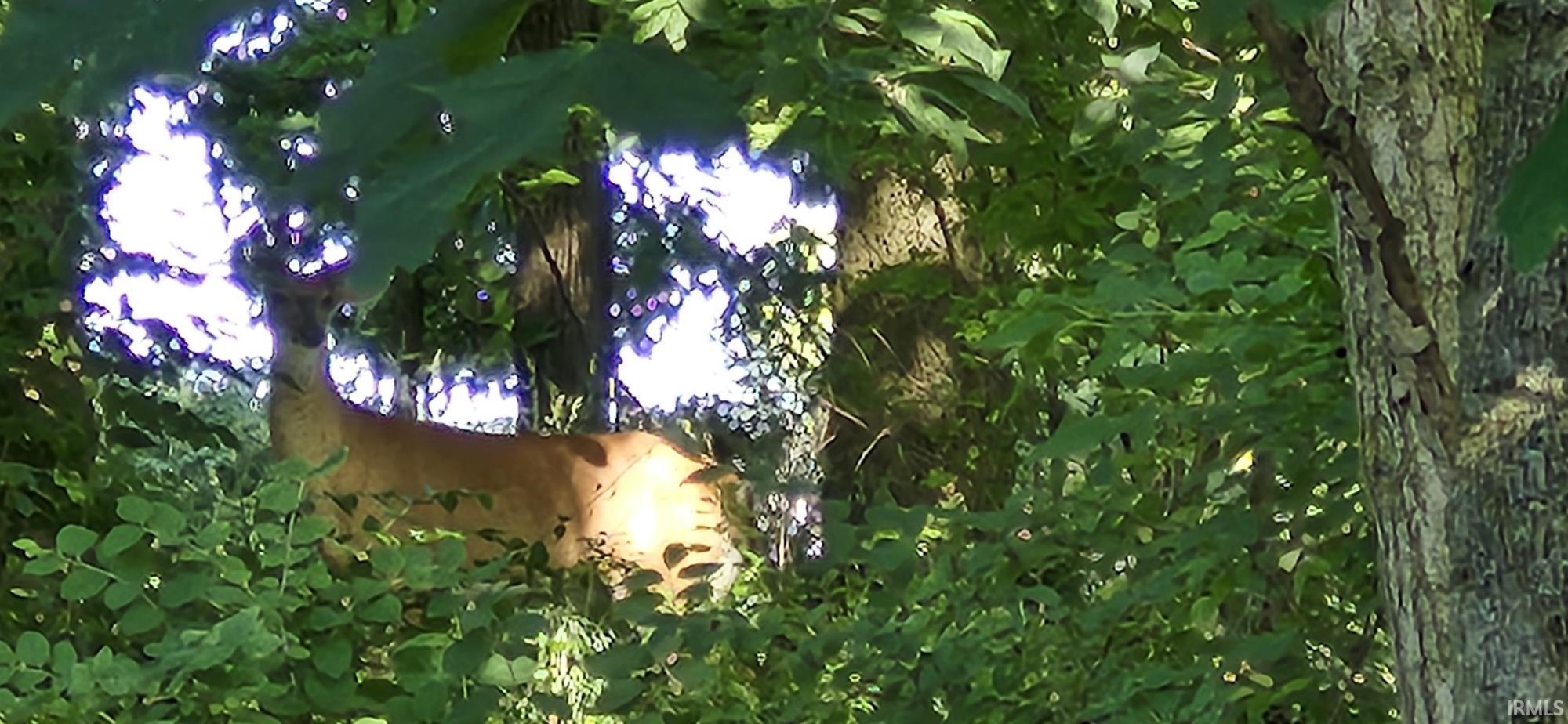 Photo 4 of lot 2 waters edge Drive